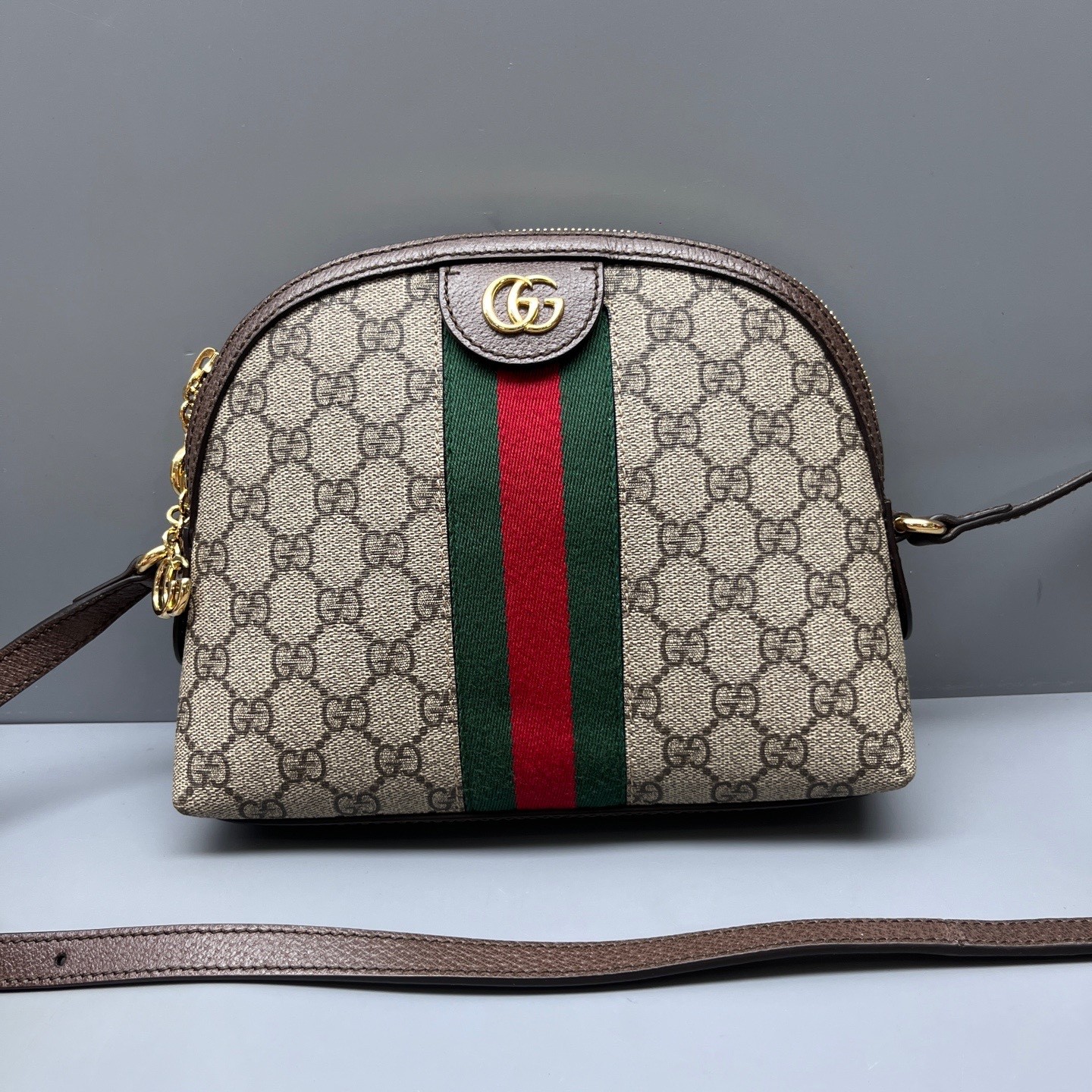 Gucci Pre-Owned Authentic Ophidia Collection Crossbody Bag Monogram Shell