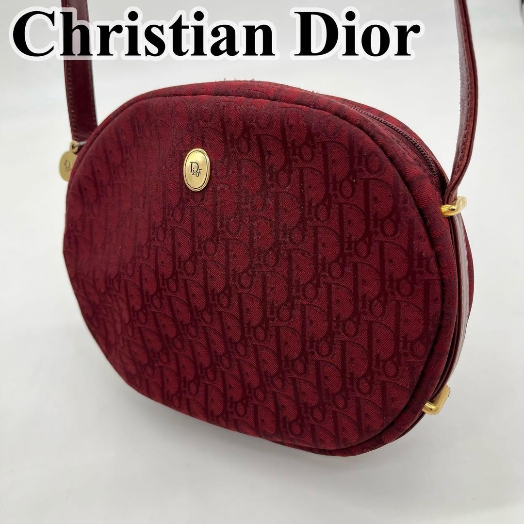 Christian Dior Bag Shoulder Trotter Pattern Logo Hardware Canvas