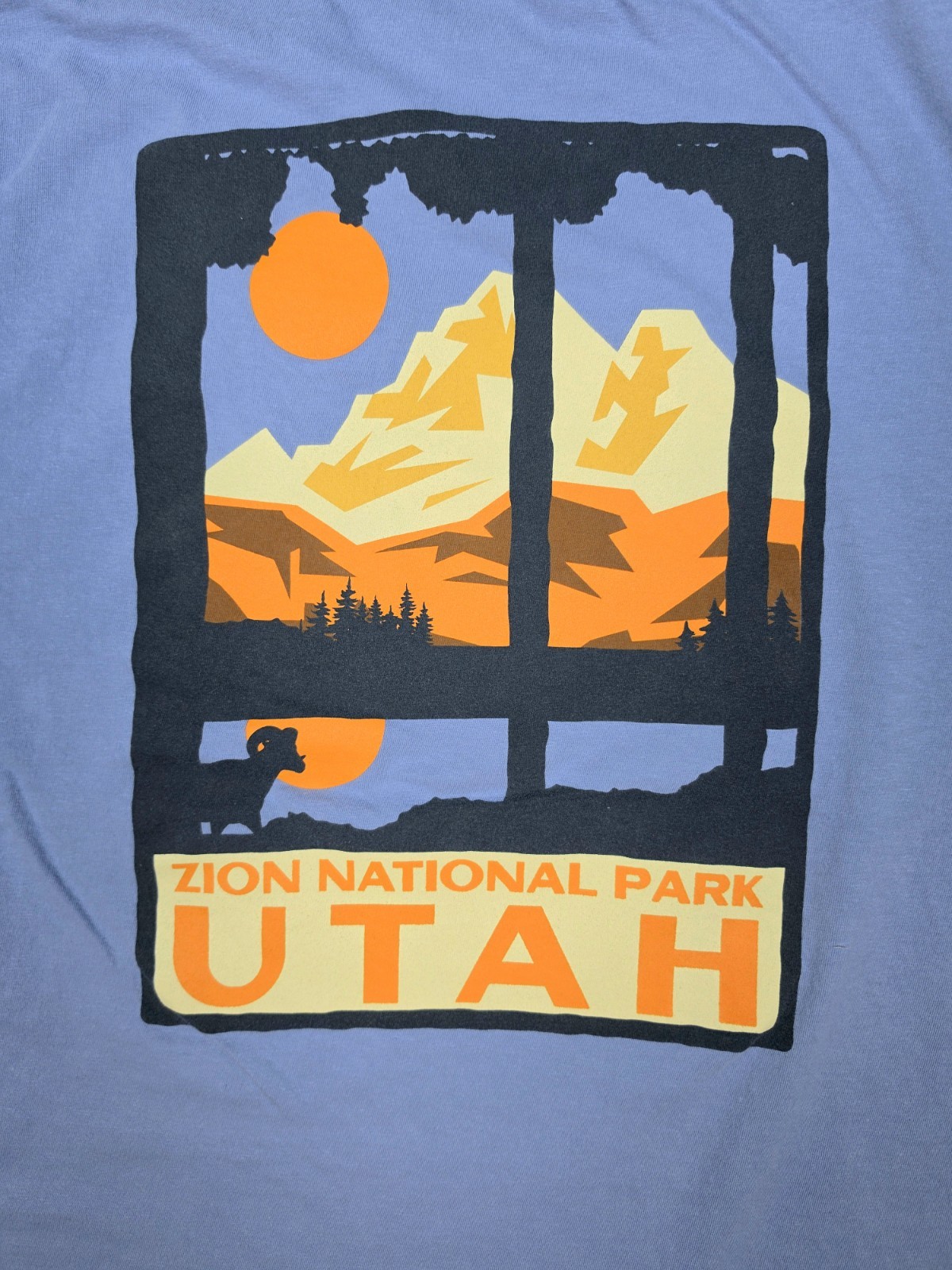 Zion National Park Graphic T-shirt/Cornflower Blue/Men’s Size L