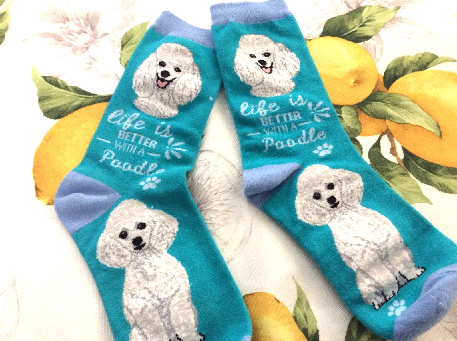 Life Is Better With A Poodle Socks Pet Lovers One Size Fit Most Mid Calf NEW