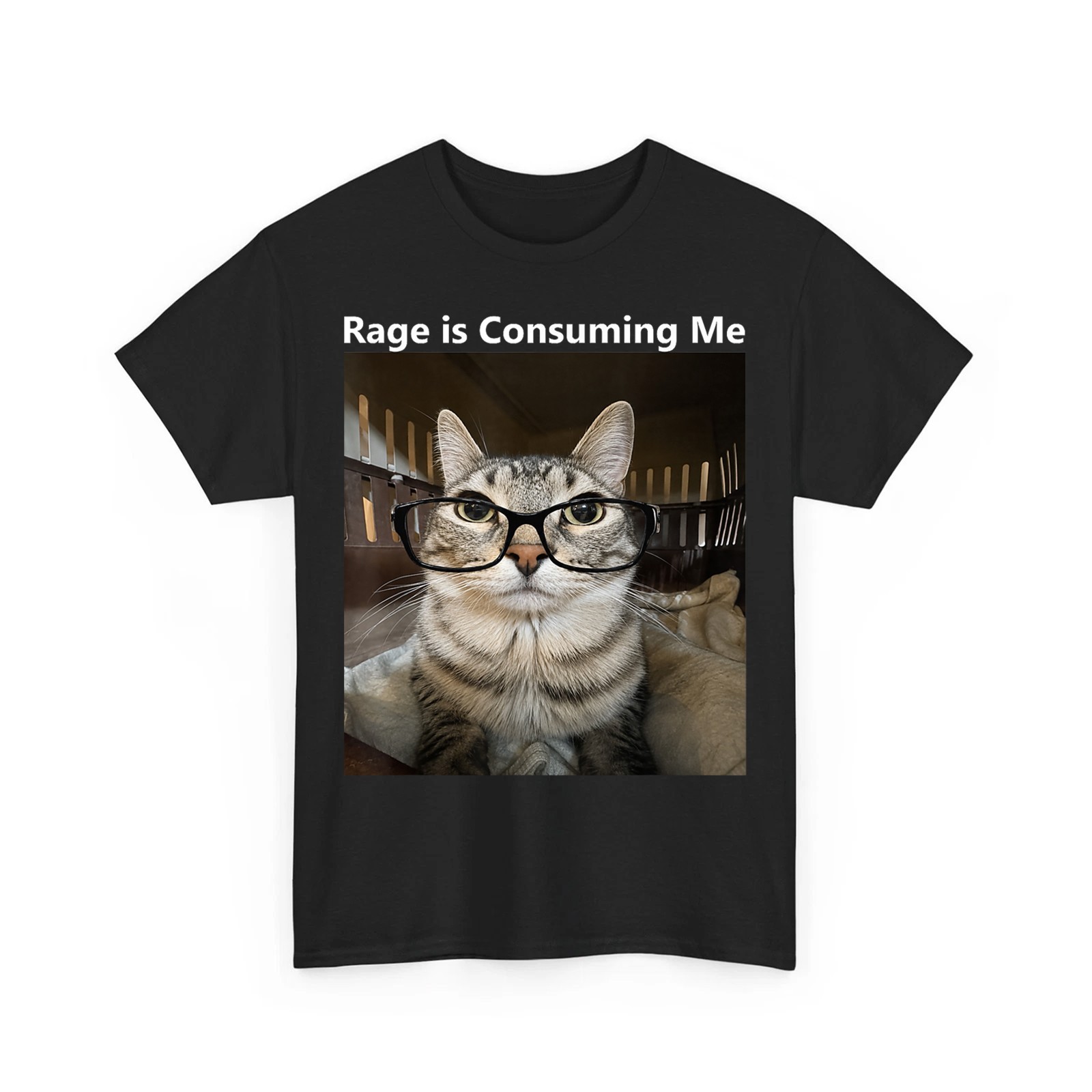 Funny Rage is Consuming Meme Silly Cat Graphic Unisex T-Shirt