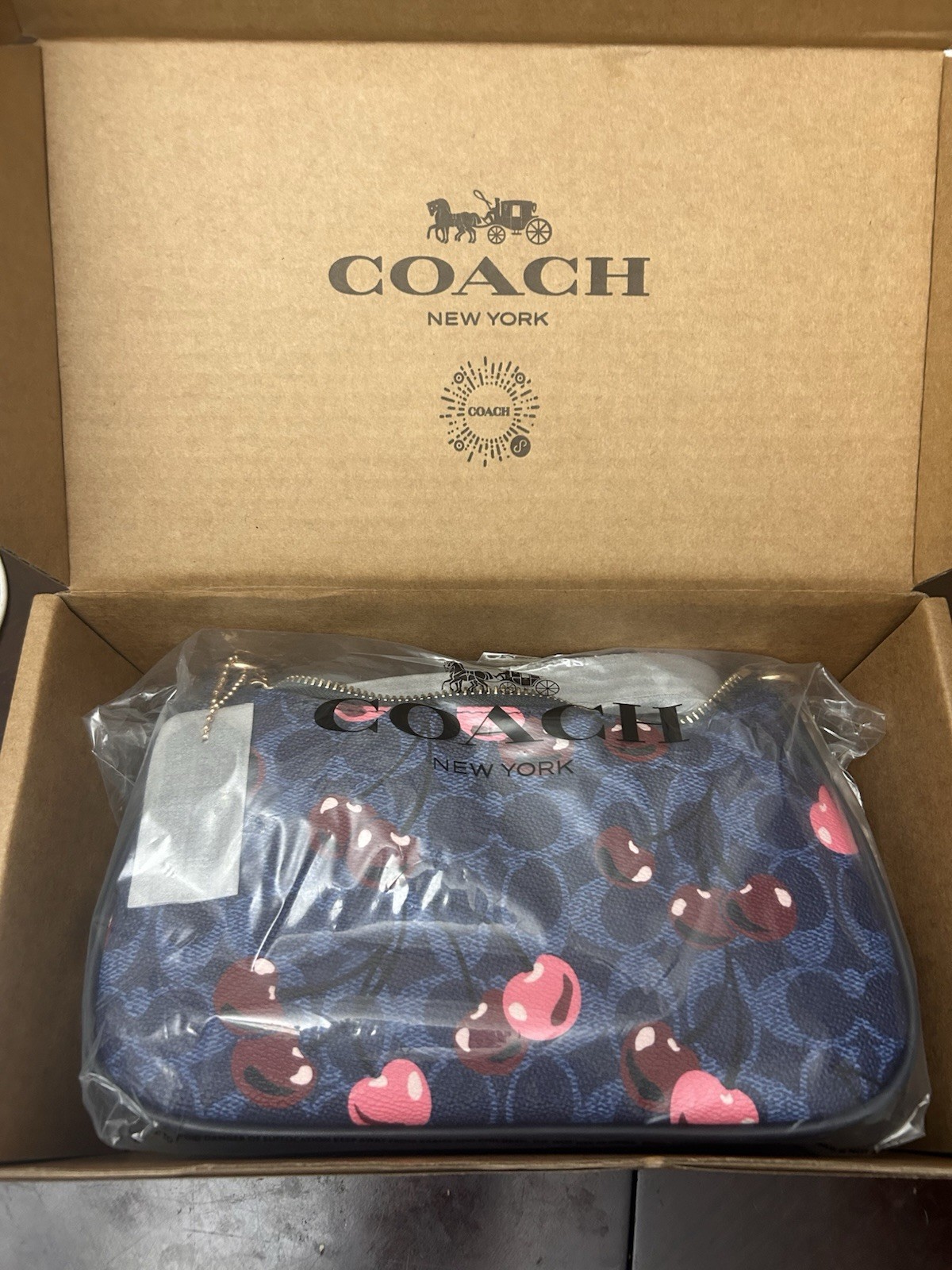 NWT Coach Teri Shoulder Bag In Signature Canvas With Cherry Print Handbag Denim