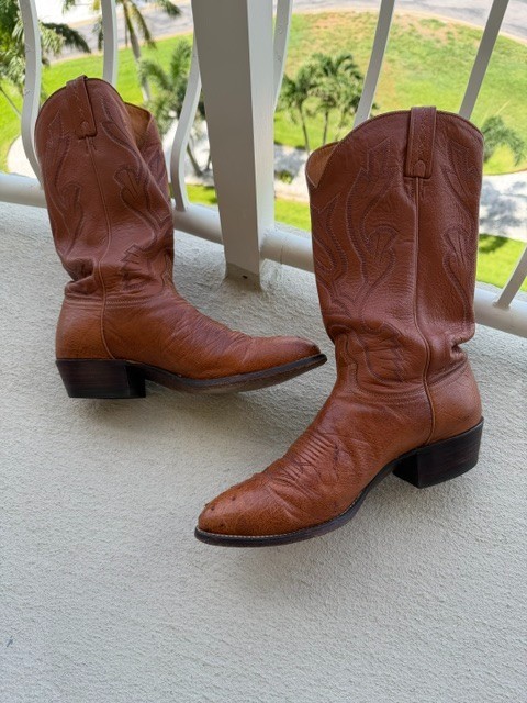 J Chisholm Men’s Size 11D Full Quill Ostrich Leather Cognac Cowboy Boots