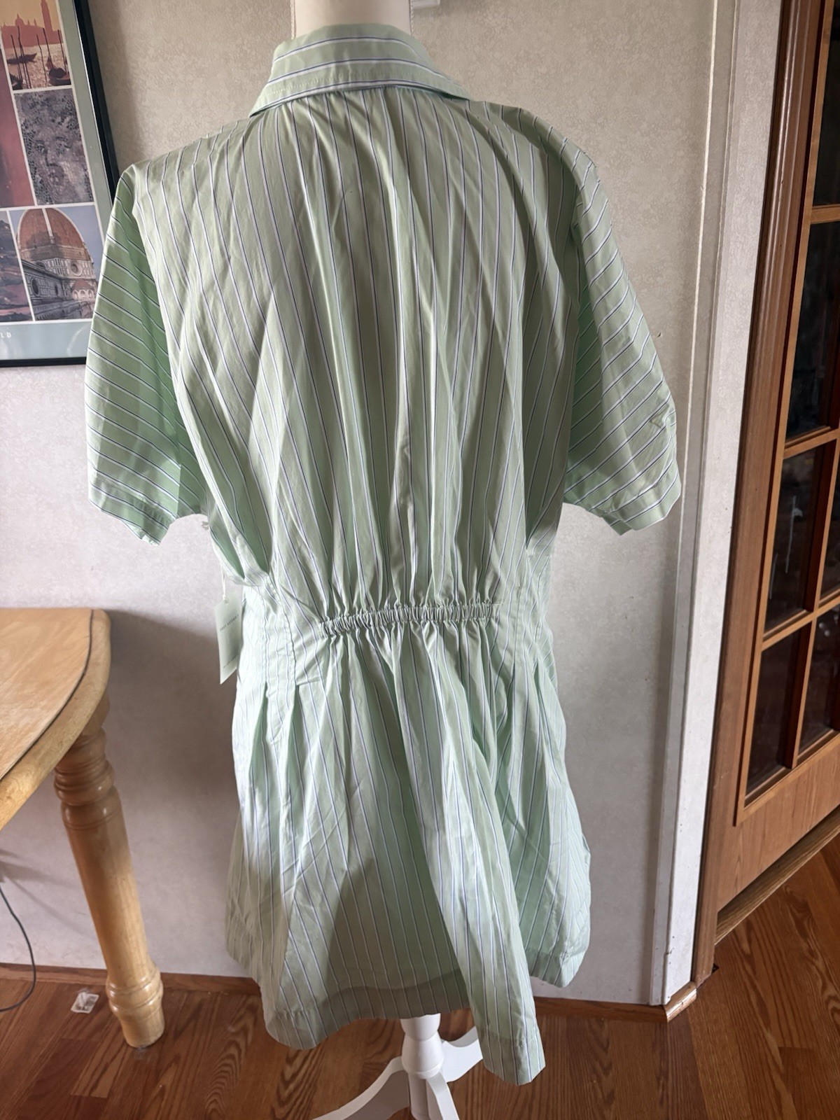 Free Assembly Women Corset Midi Green Stripe Dress Shirt Pockets Large NWT#17031