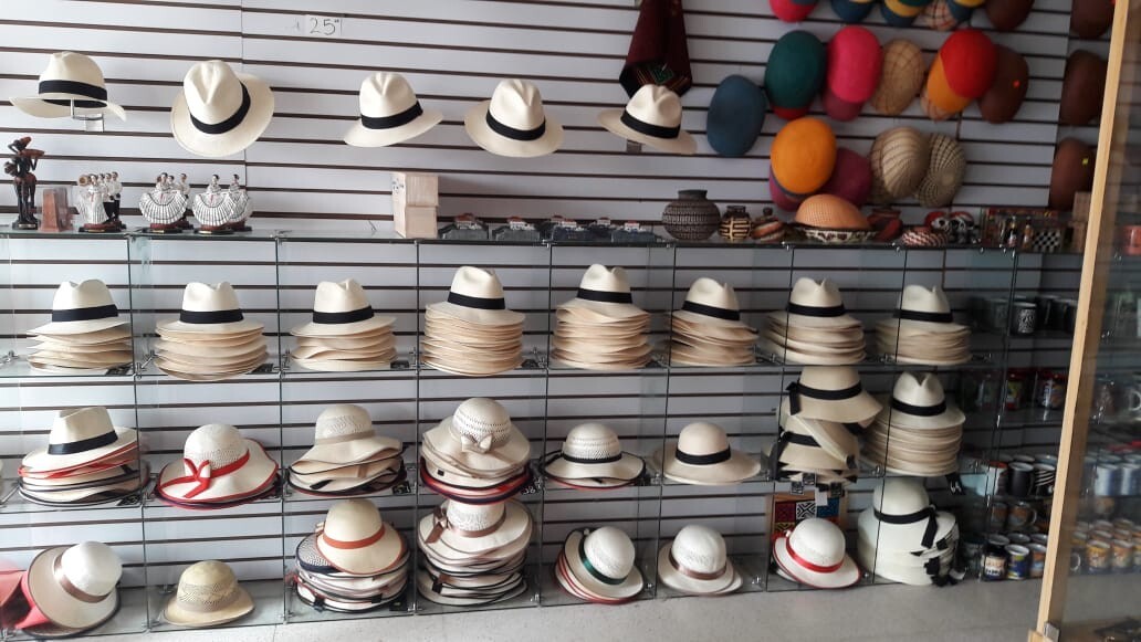 MONTECRISTI Panama Hat FEDORA 100% TOQUILLA Straw HANDWOVEN. All Sizes.