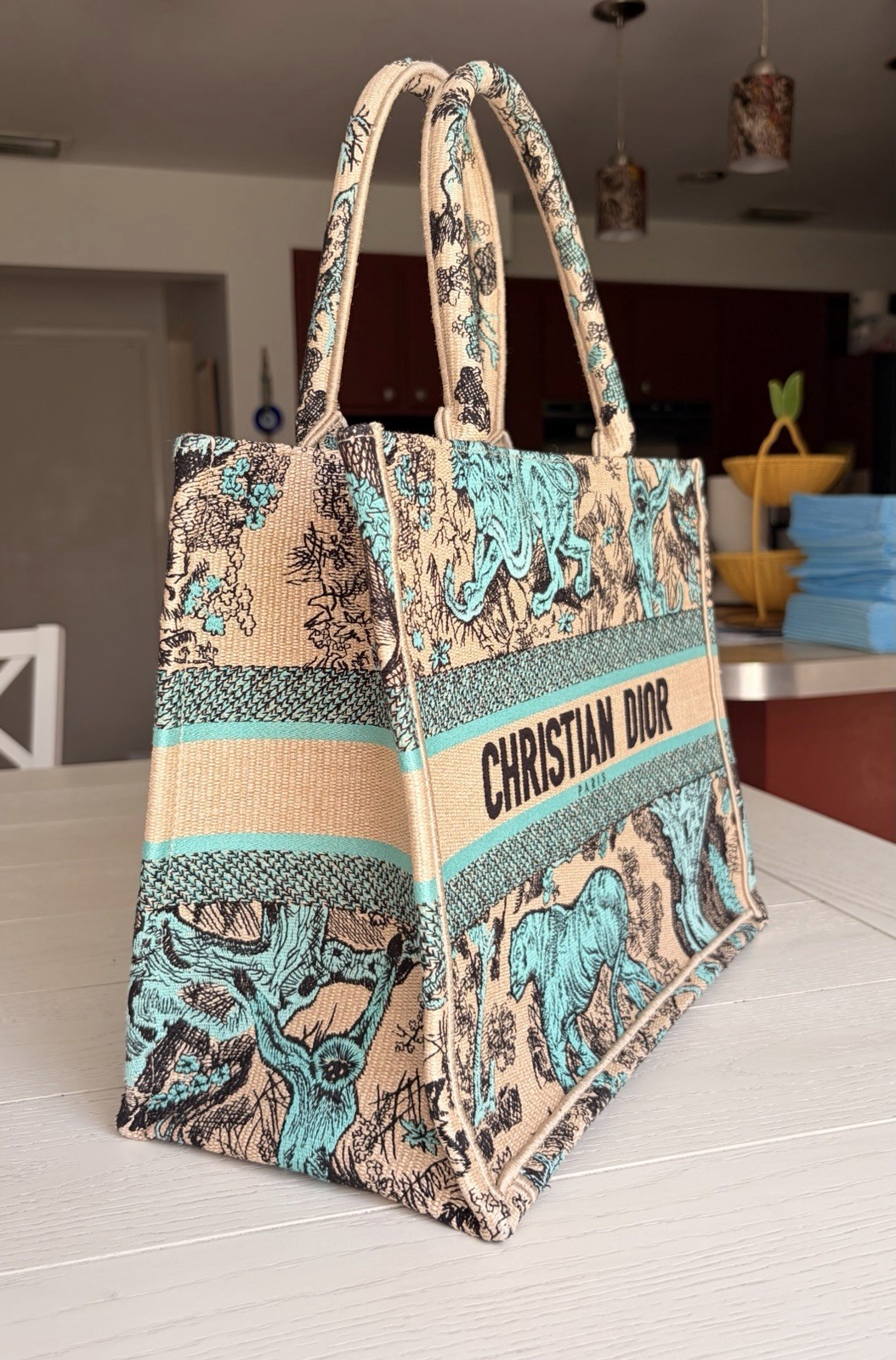 Christian Dior Medium Book Tote