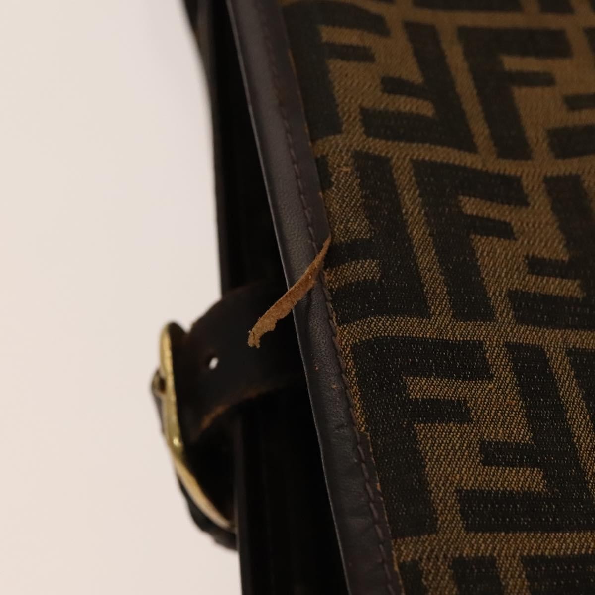 FENDI Zucca Canvas Garment Cover Brown Black gold Auth sw767