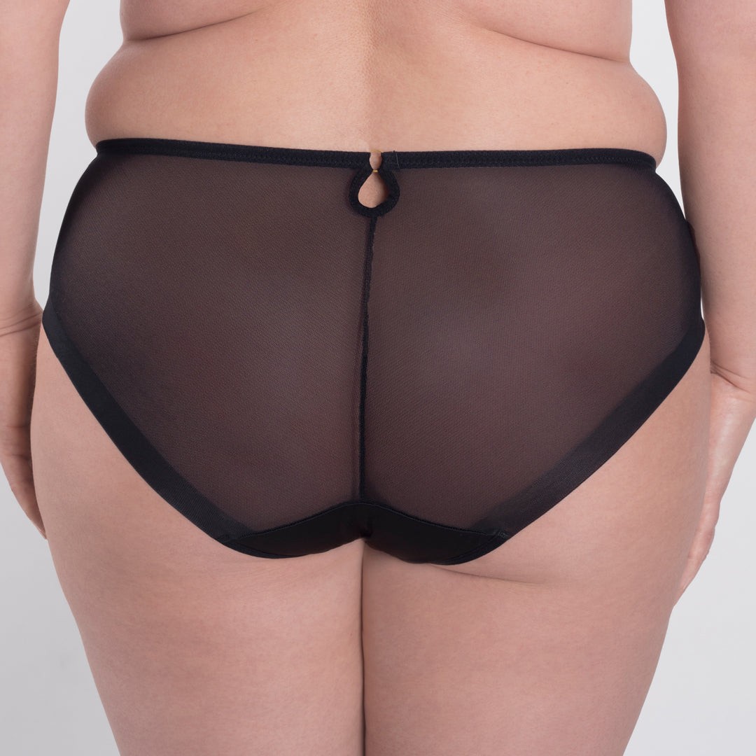 Samanta Perla Sheer Mesh Embroidered Brief Panty Womens Lingerie Black B400