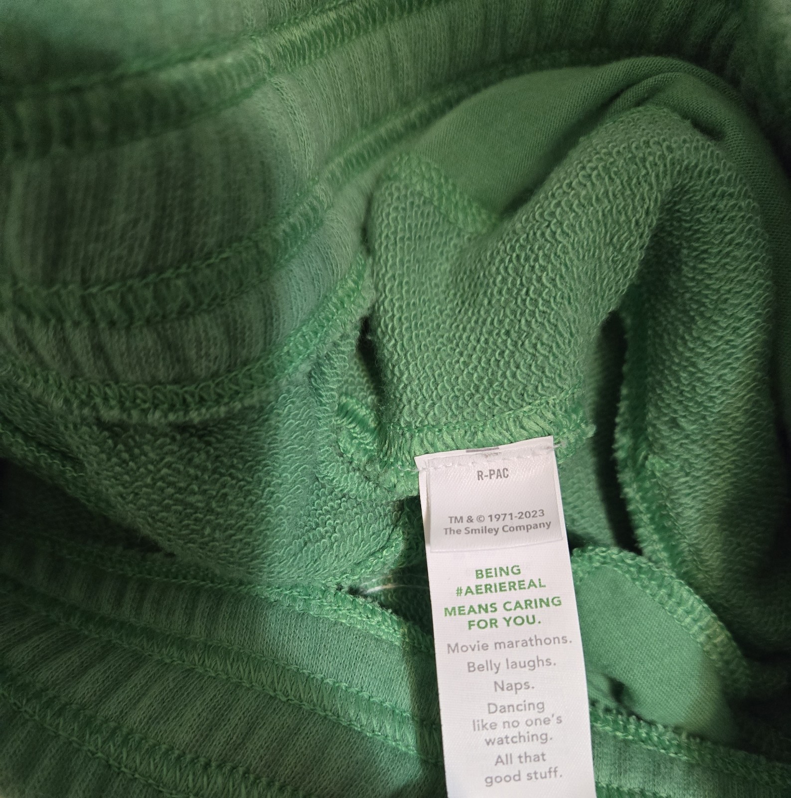 Green Classic Holiday Limited Joggers By Aerie In Mystical Green Size XS