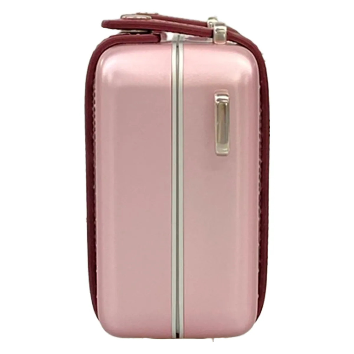 DIOR/ChristianDior Dior and RIMOWA Personal Clutch Bag 2DRCA295YWT_H30E Pink
