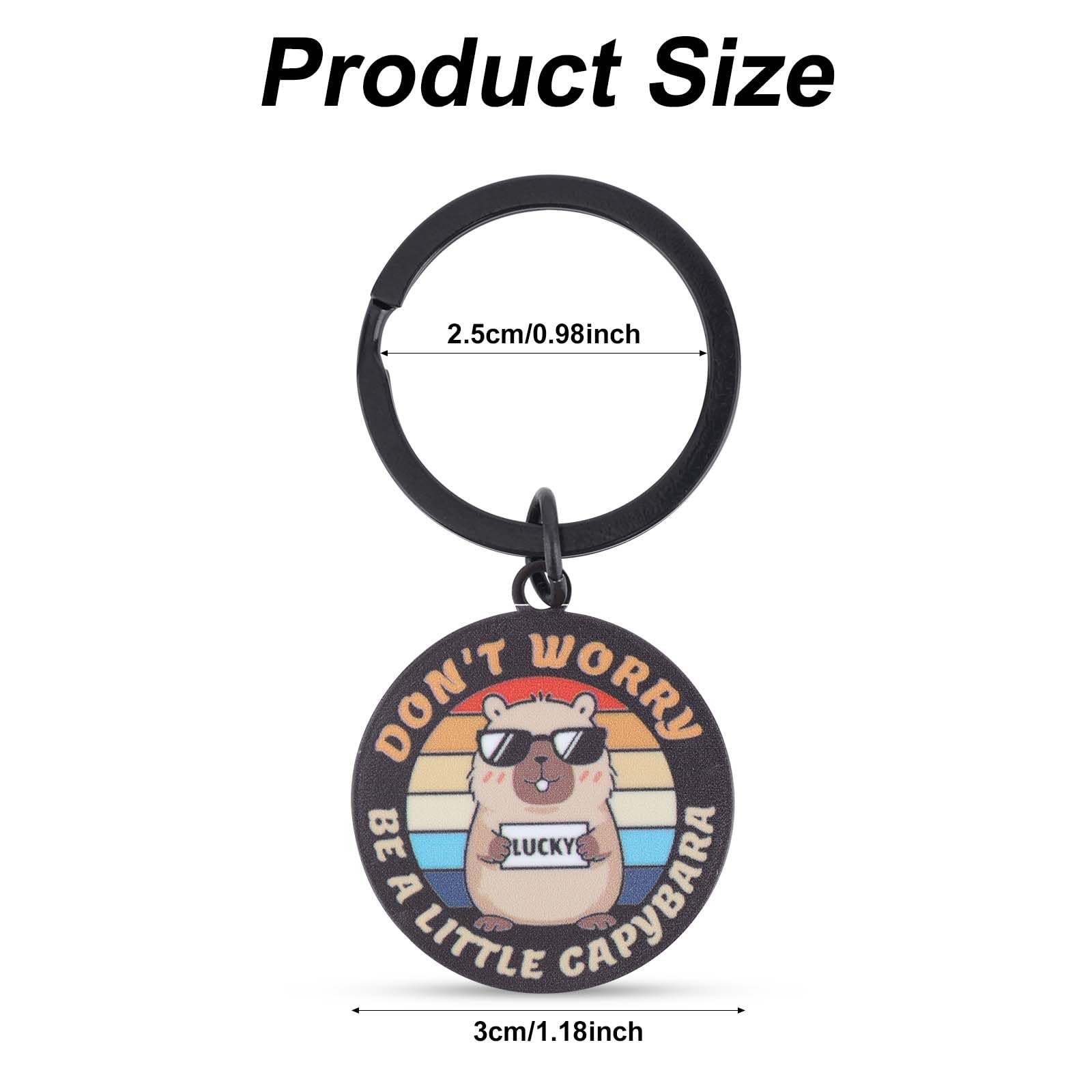 Mikovivi Multicolored Keychain, Stainless Steel & Iron, Medium Size, Fun