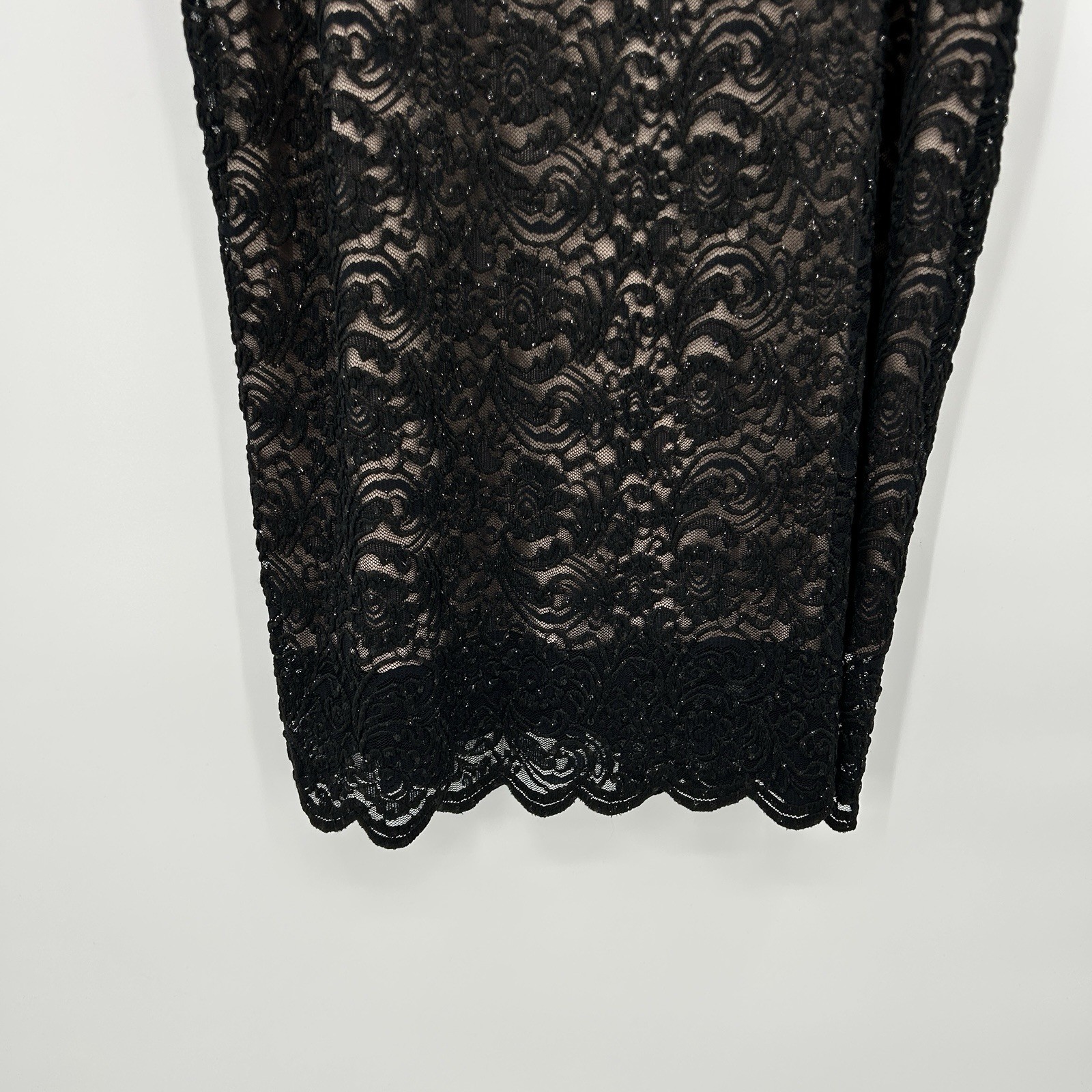 Alex Evenings Elegant Beaded Lace Evening Dress 18W Gala Mother of Bride Glam