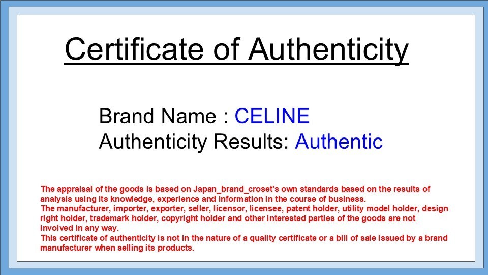 Celine Vanity Bag Macadam Leather Brown Authentic