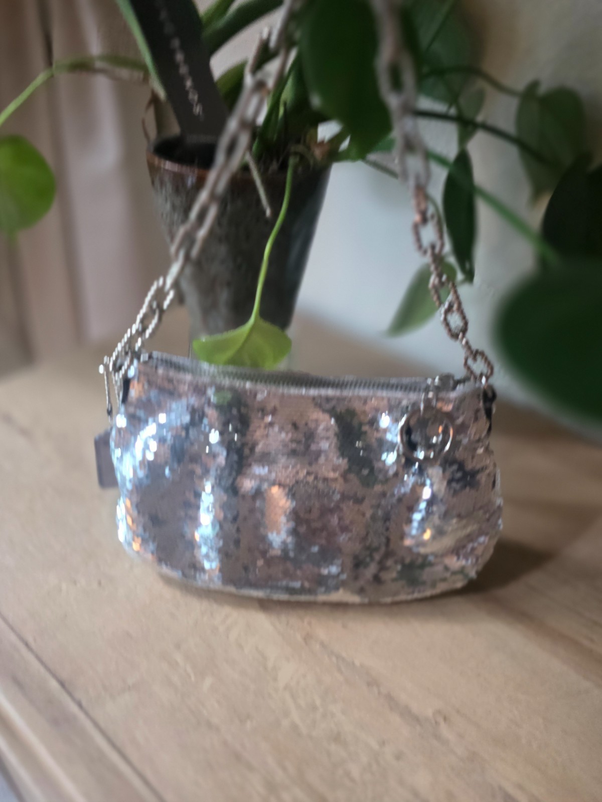 Coach Graduation Poppy Sequin Clutch Party bag