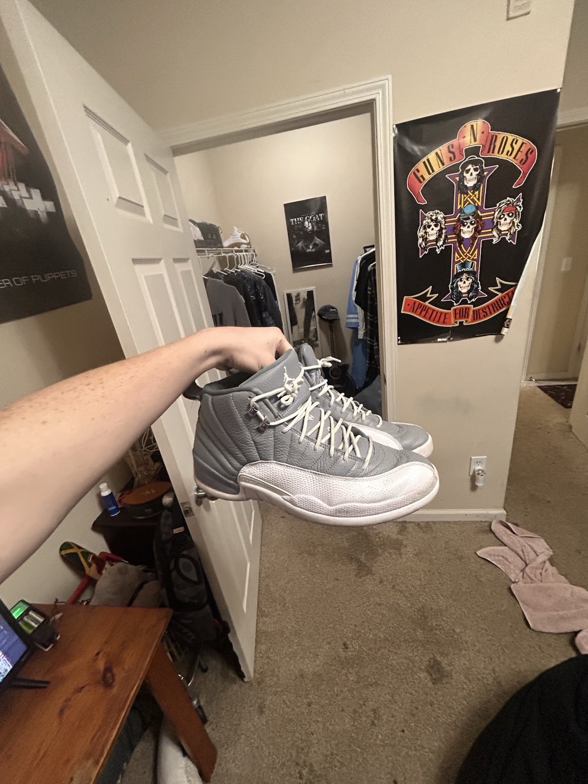 Jordan 12 Stealth