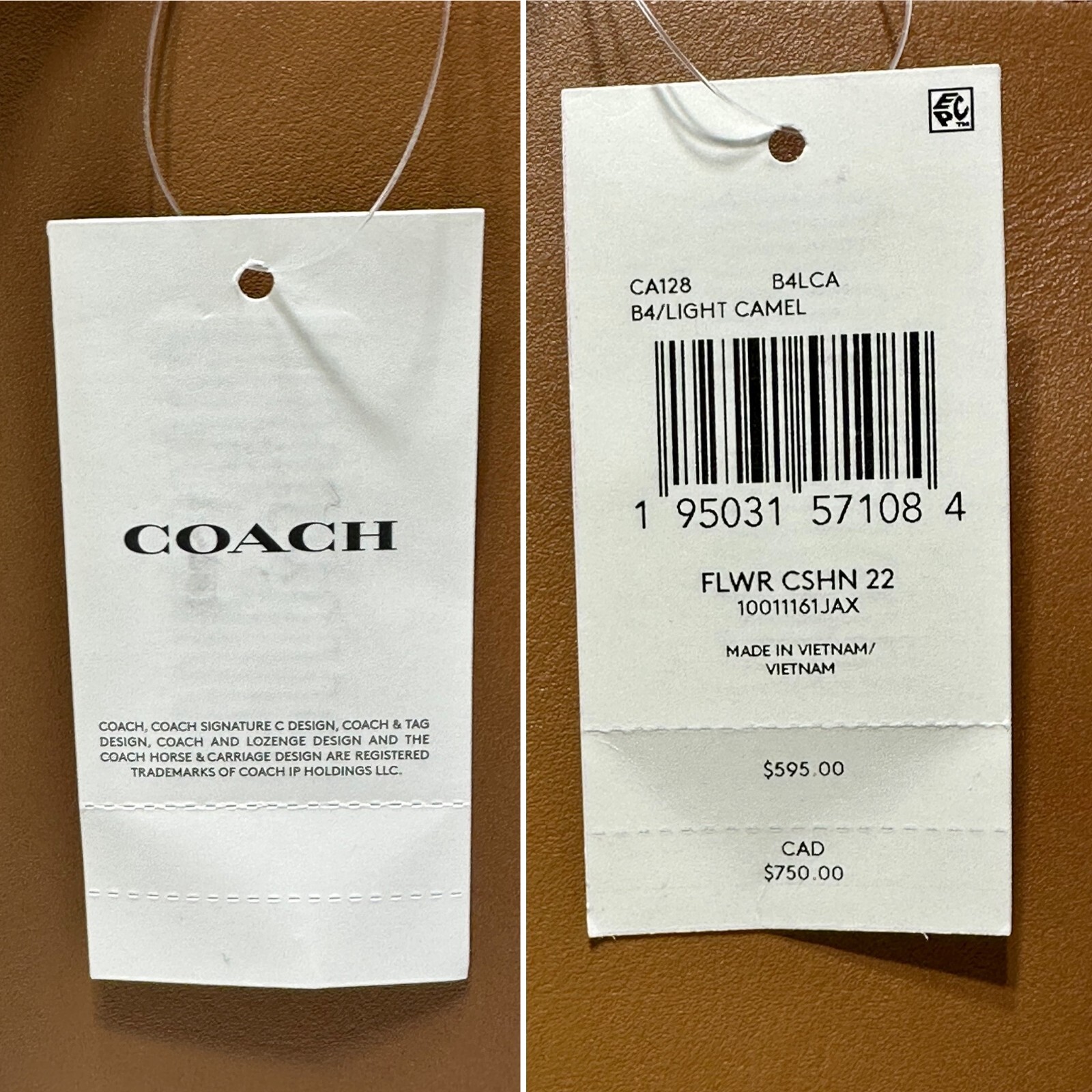 COACH x Tom Wesselmann Cashin Carry Tote 22 in Floral Print CA128