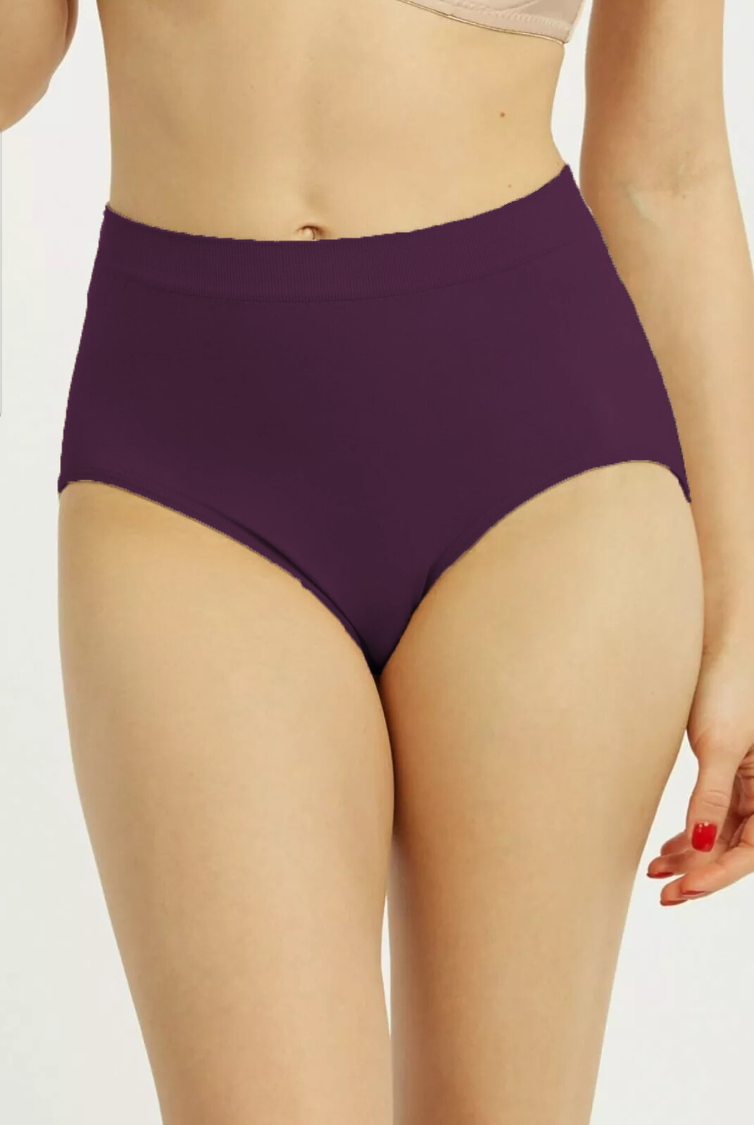 6 12 Pack Women Seamless High Rise Full Coverage Nylon Panty Underwear One Size