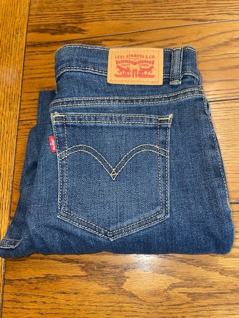Levi’s Low Pro Straight Blue Denim Jeans – Women’s Size 12 Reg (W28 X L28) – New