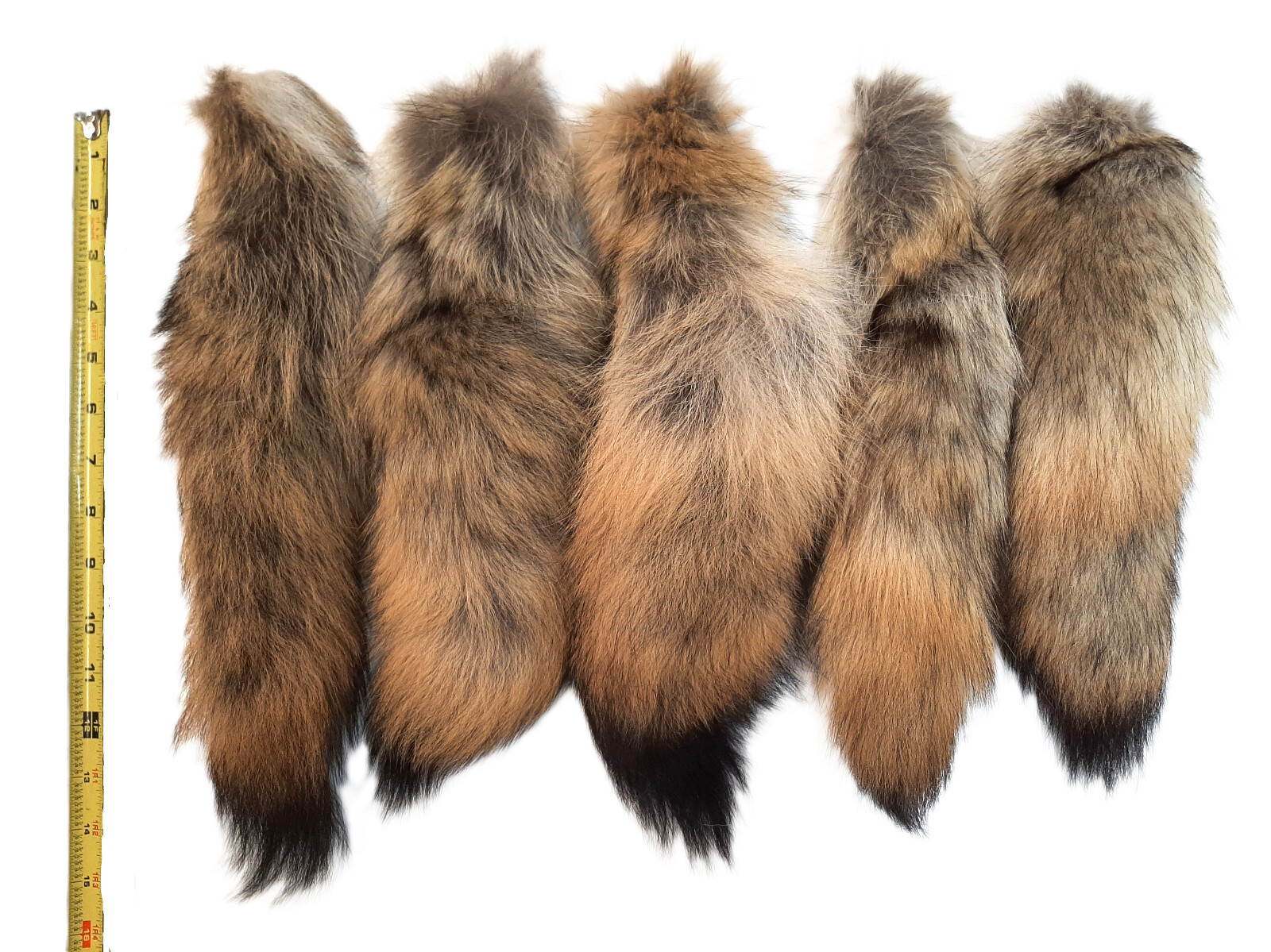 Coyote Tail, Real Fur Tail, Key Chain Option, Bulk Purchase Option