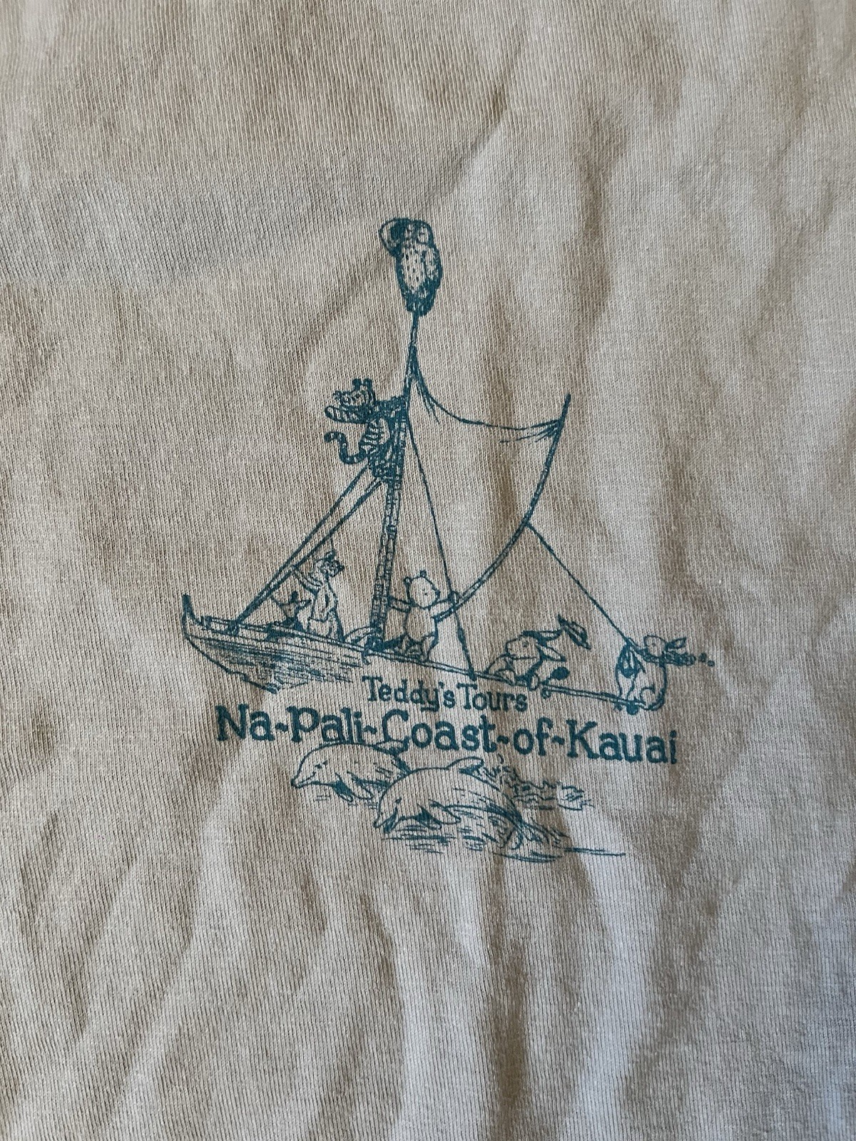 Malibu Shirt Blue Teddy’s Tour Na-Pali-Coast-of-Kauai Size M Winnie-the-Pooh