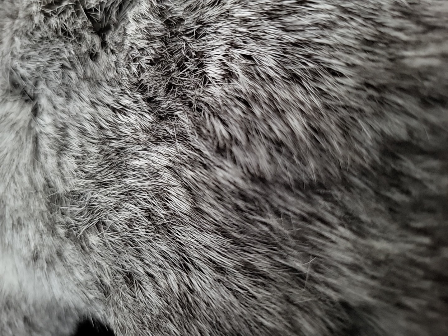 Mad Bomber Hat Trapper Fitted Mens M Gray Rabbit Fur Ear Flap Winter Outdoor