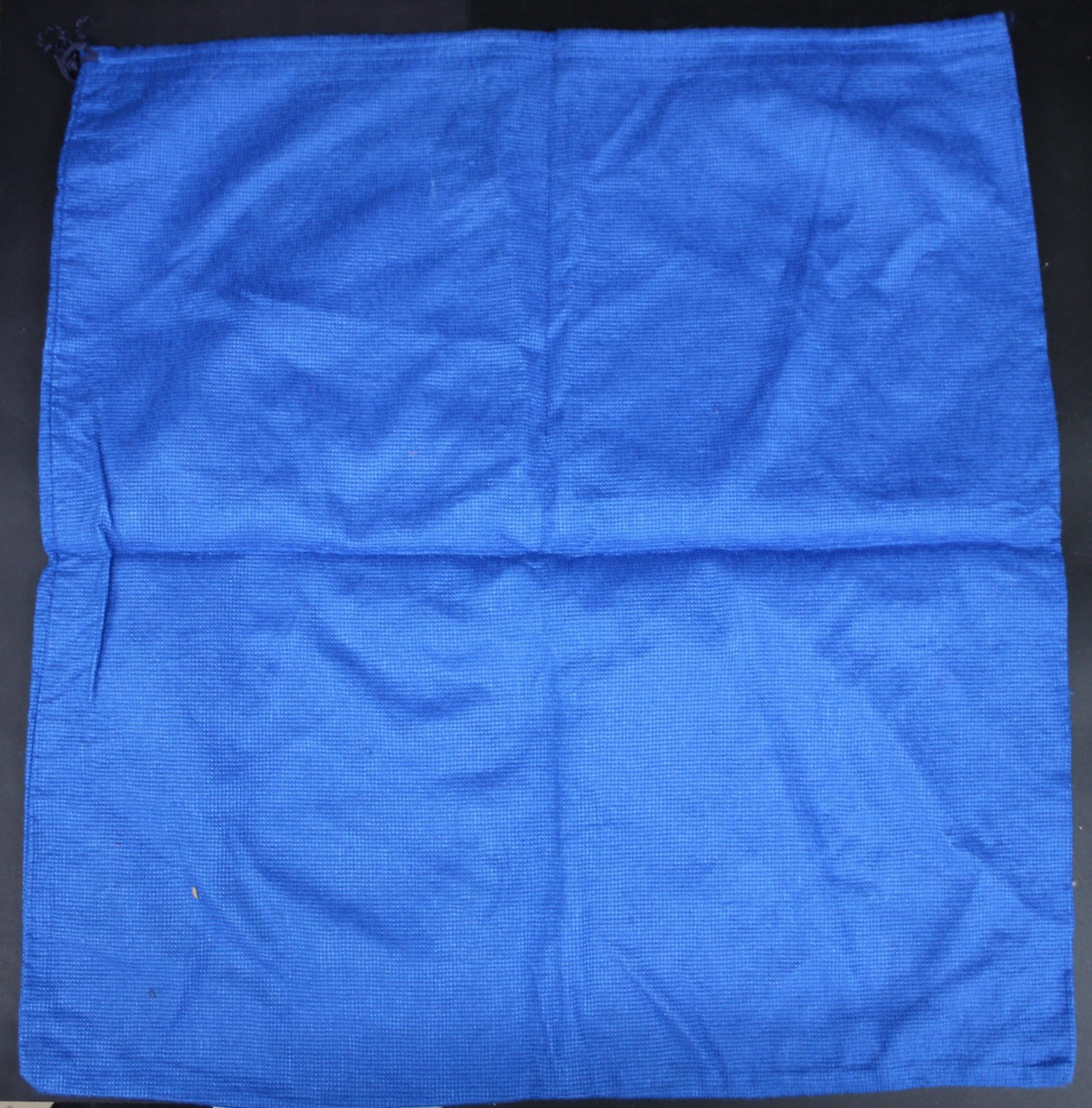 Original 18X19 Ladina Dust Bag Only
