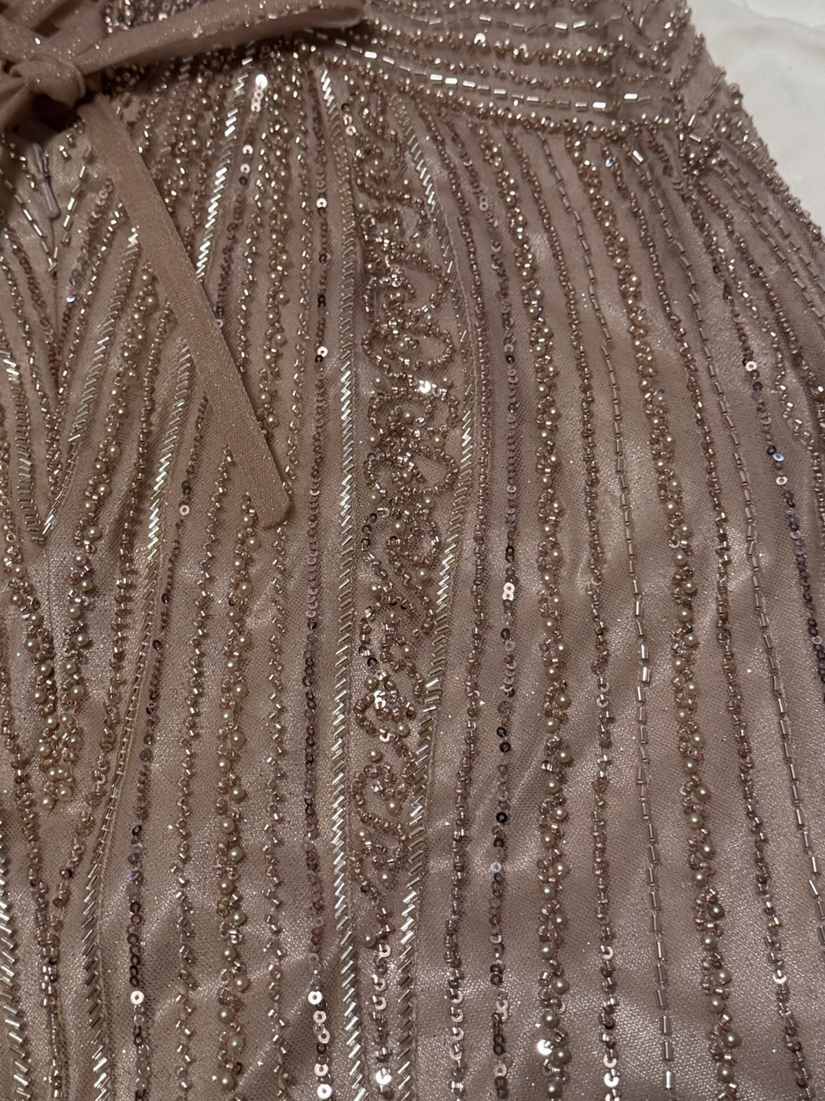 Ladivine by Cinderella Divine Champagne Beaded Sequin Mesh Gown Dress Size 12P