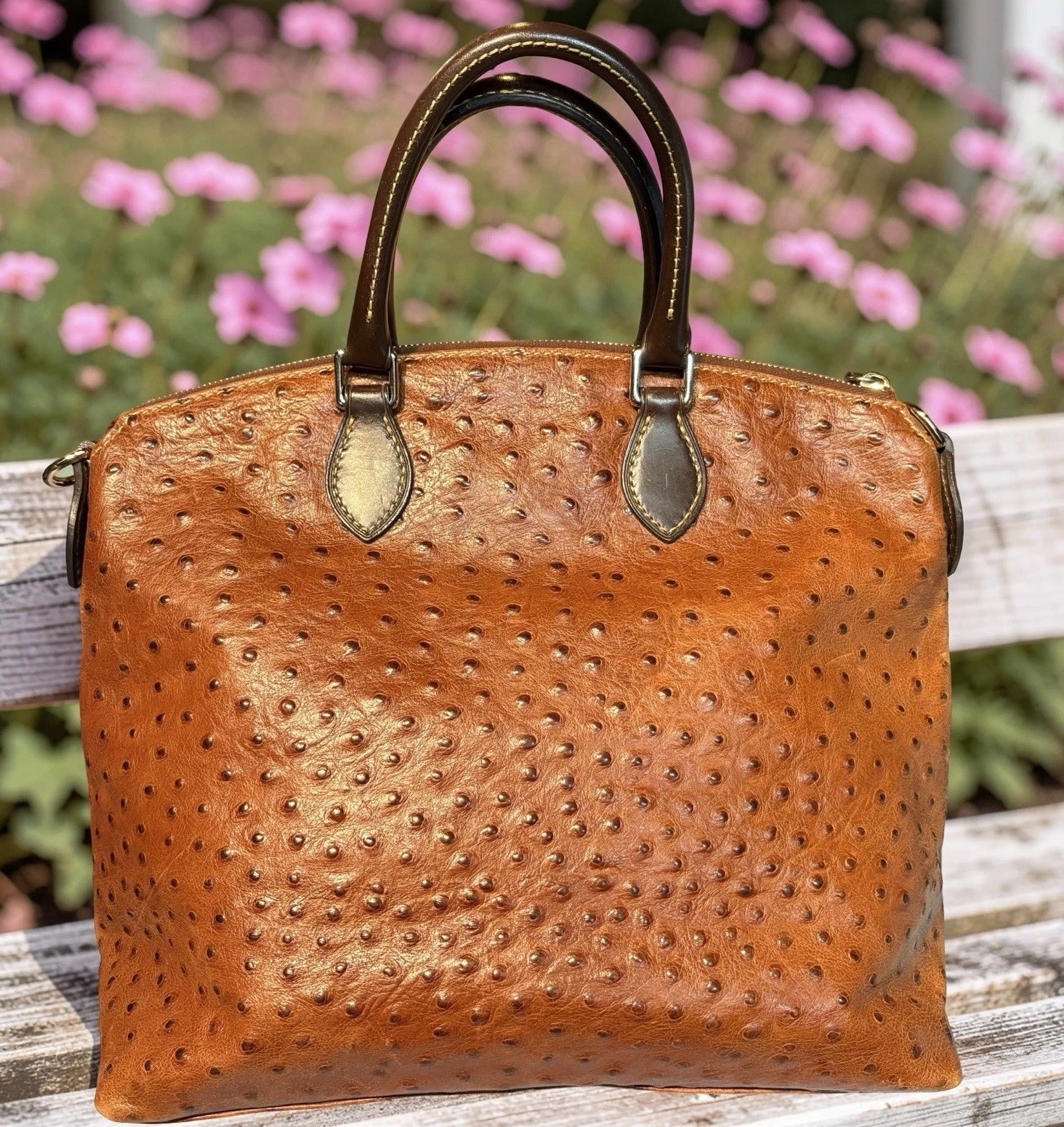 Dooney Bourke Chestnut Brown Ostrich Embossed Leather Front Pocket Satchel Tote