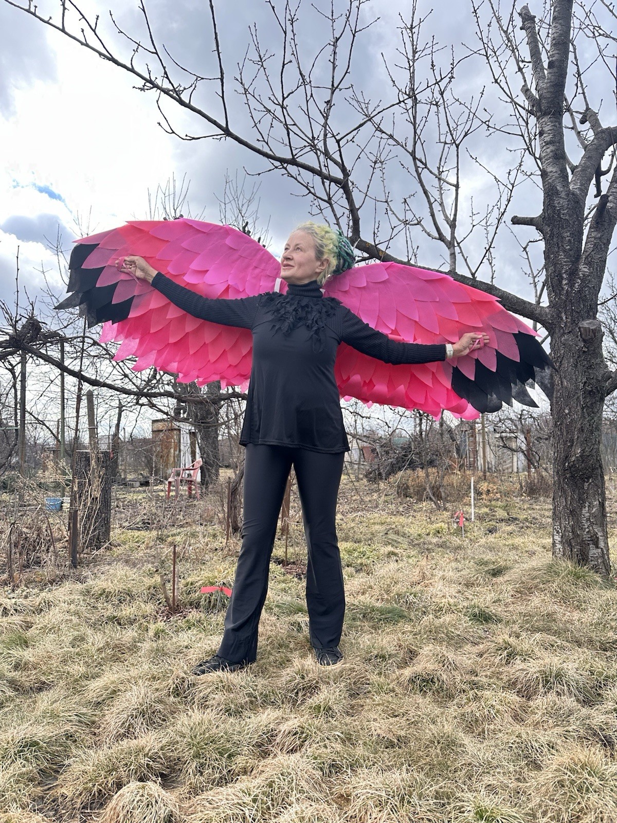 Pink Flamingo Wings Costume