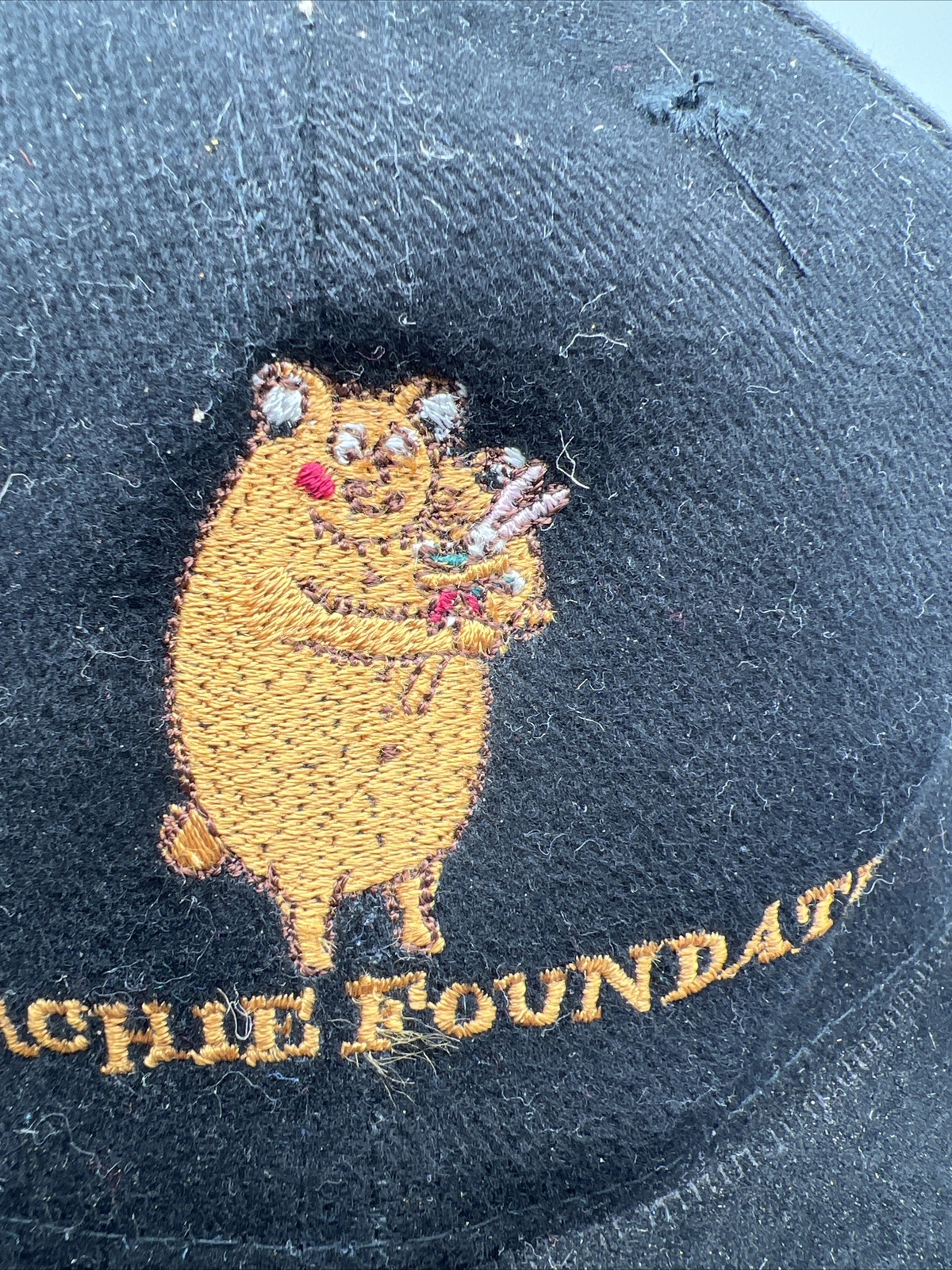 The Archie Foundation Hat Strapback Royal Aberdeen Scotland Childrens Hospital