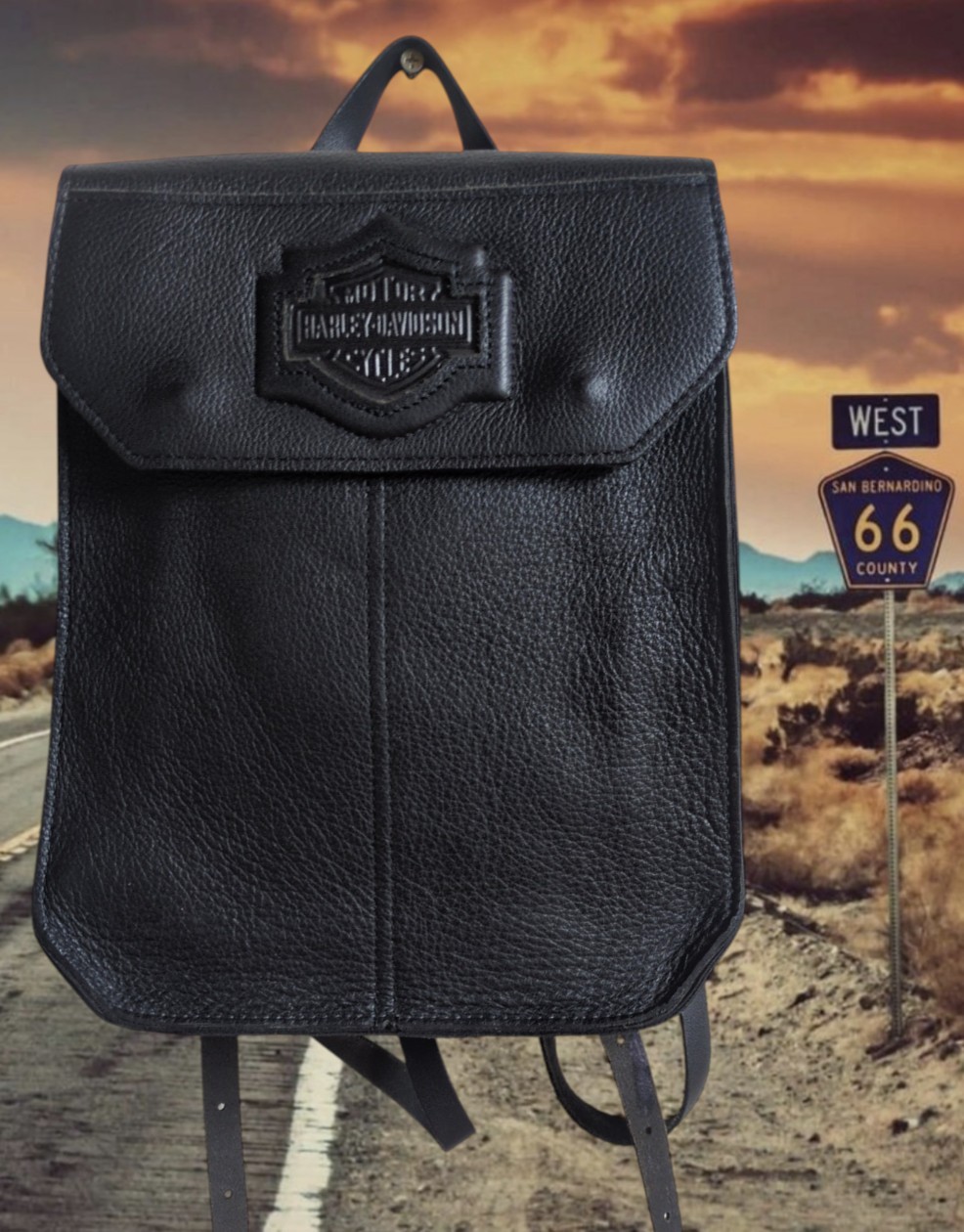 VTG Harley Davidson Heavy Bullhide Pebbled Leather Backpack Bag Motorcycle Biker