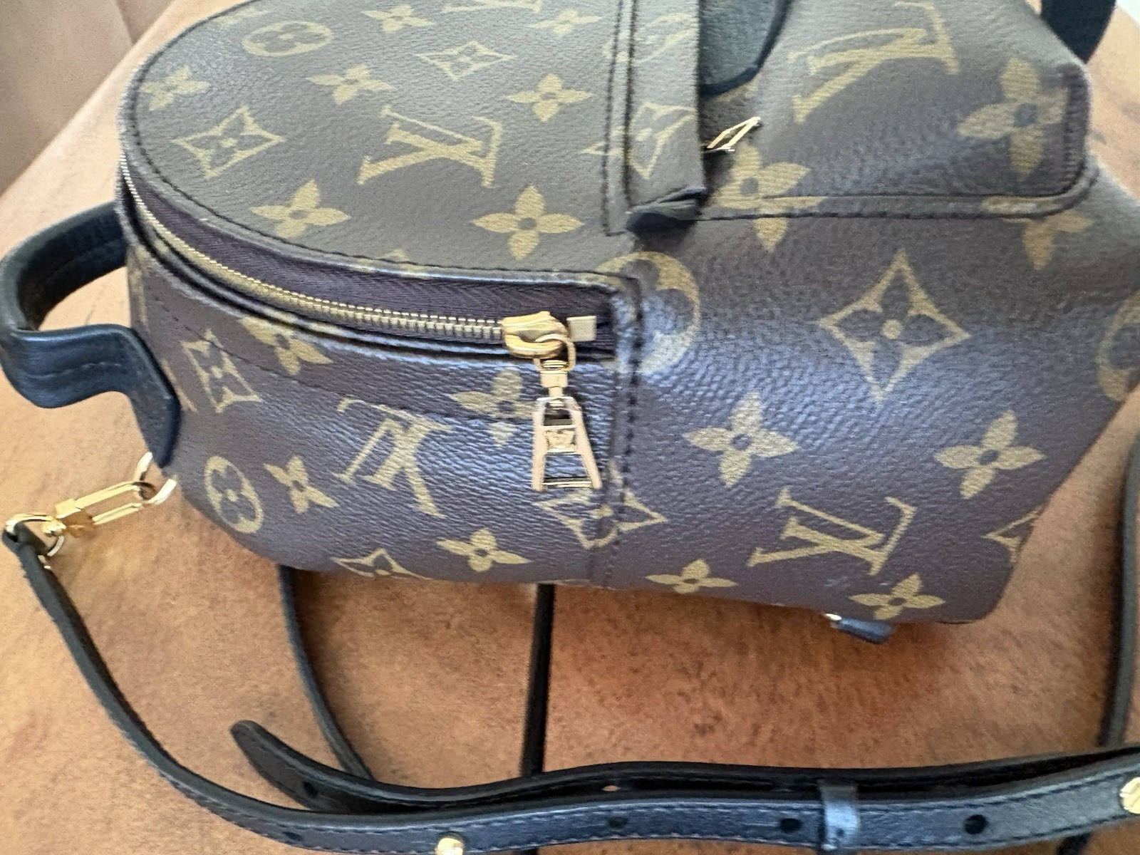 Louis Vuitton Palm Springs Backpack Mini Brown Canvas Monogram