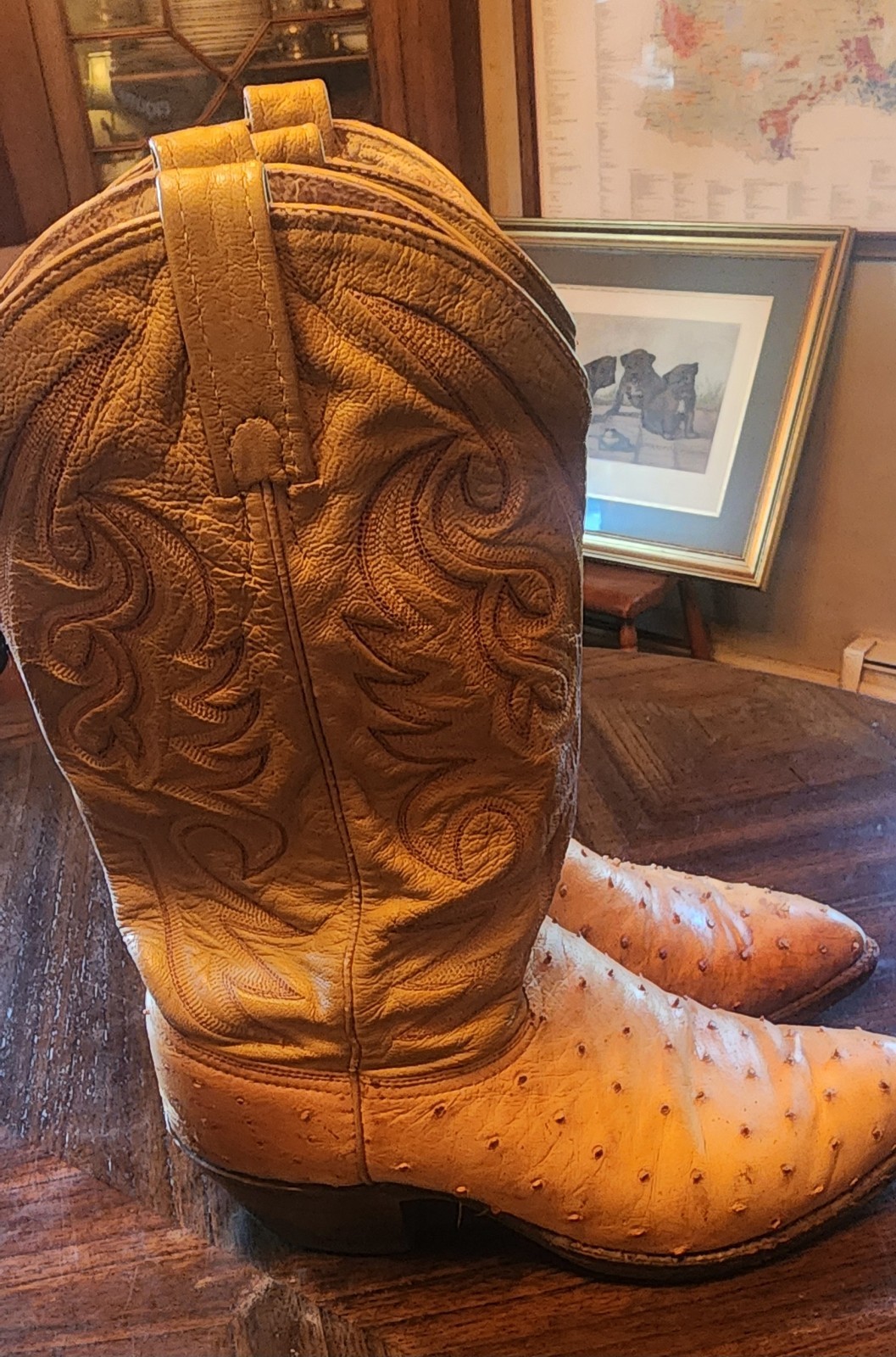 J. Chisholm Men’s Full Quill Ostrich Leather Boots 10D