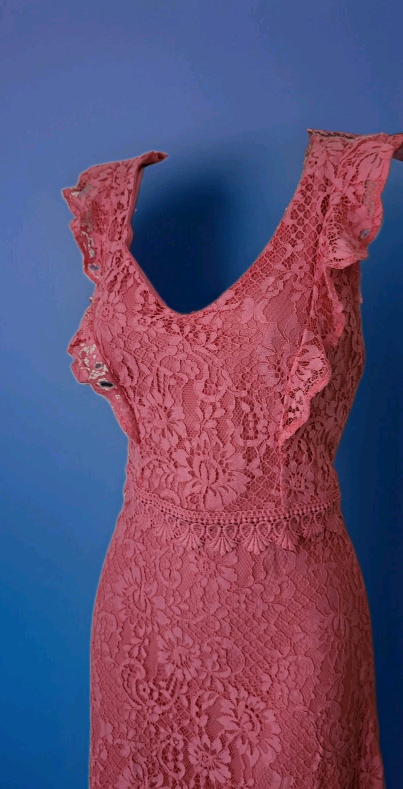 Dorothy Perkins Pink Lace Embroidered Party Wedding Occasions Dress UK Size 14