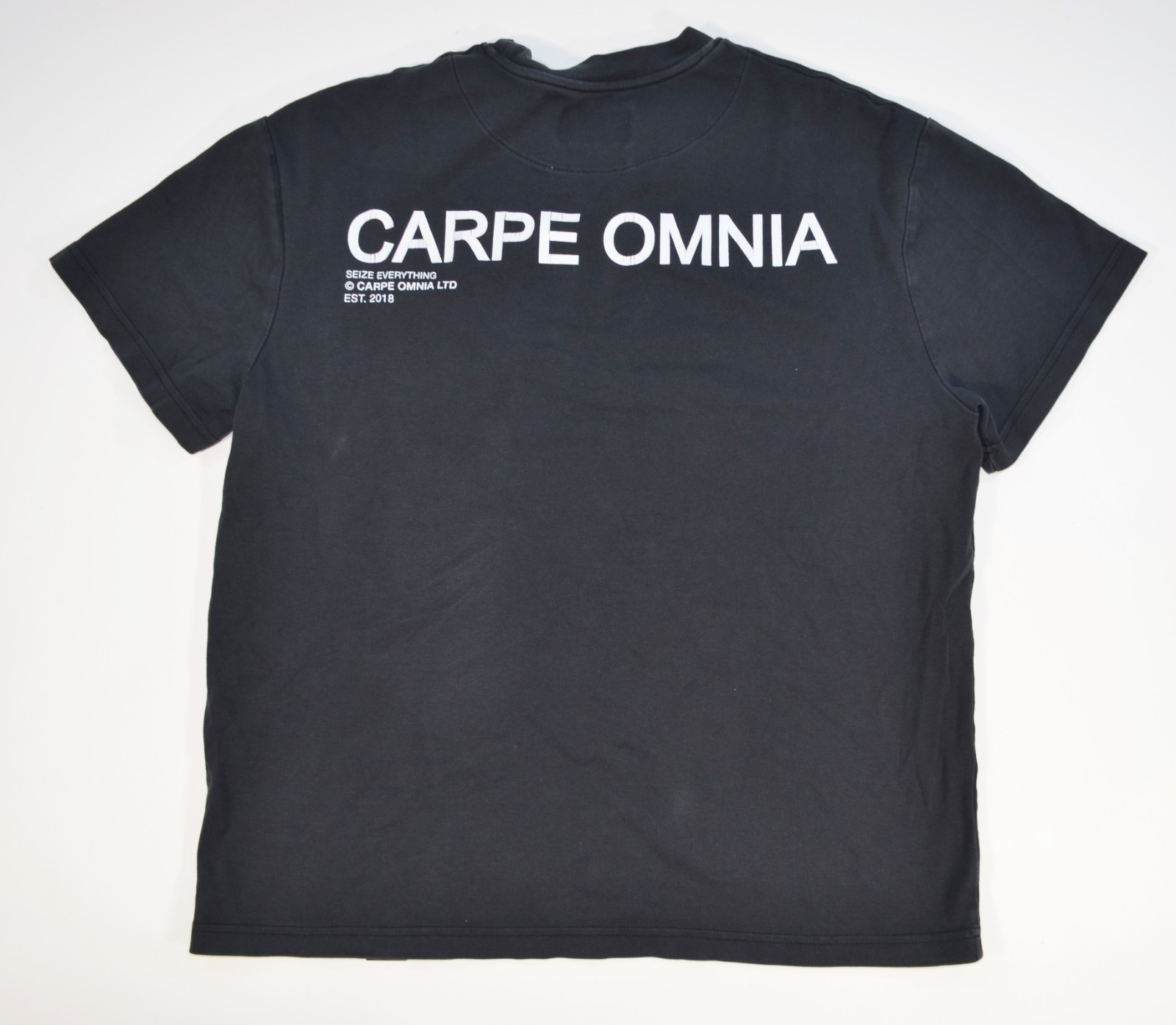 Carpe Omnia Men’s Short Sleeve Cotton T Shirt Seize Everything Medium 2018