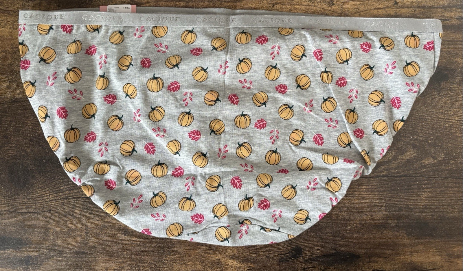 Plus Size 14/16 Lane Bryant Cacique Hipster Cotton Panty Fall Leaves Pumpkin