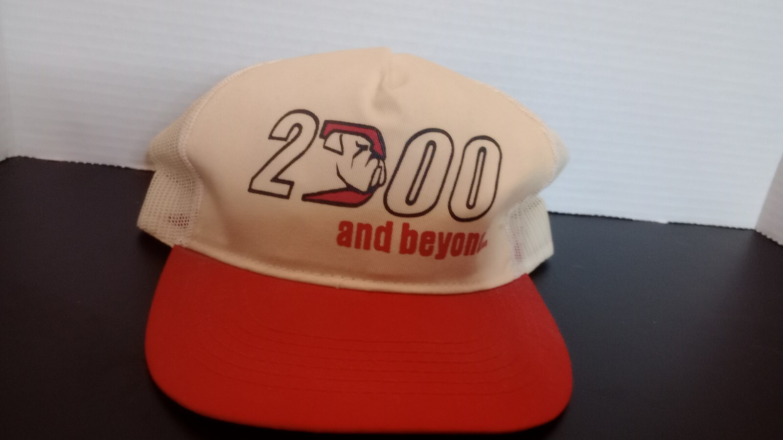 Vintage 2000 and Beyond Bulldog Snapback Men’s Hat By Pioneer Industries
