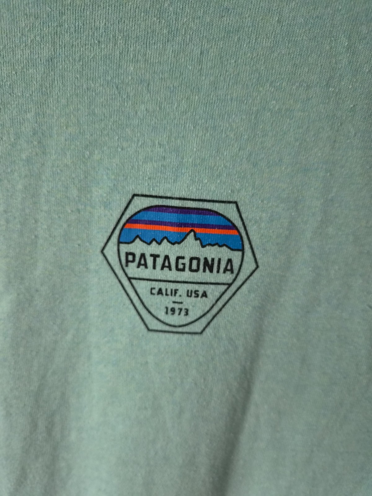 MENS PATAGONIA FITZ ROY HEX GRAPHIC T-SHIRT SIZE SMALL
