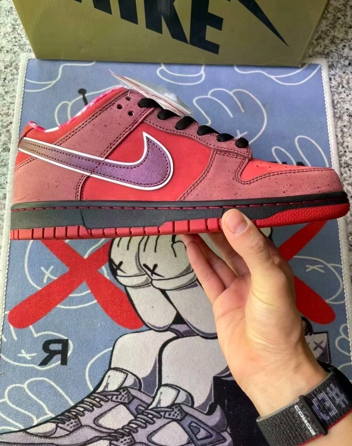 NEW Nike SB Dunk Low Concepts Red Lobster 313170-661
