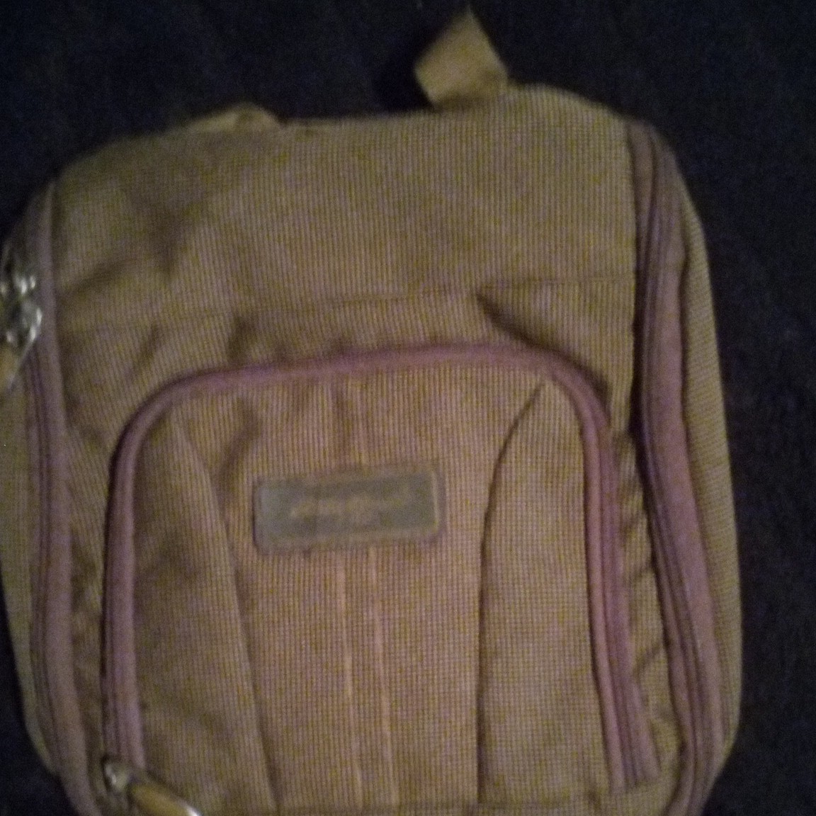 Eddie Bauer bag