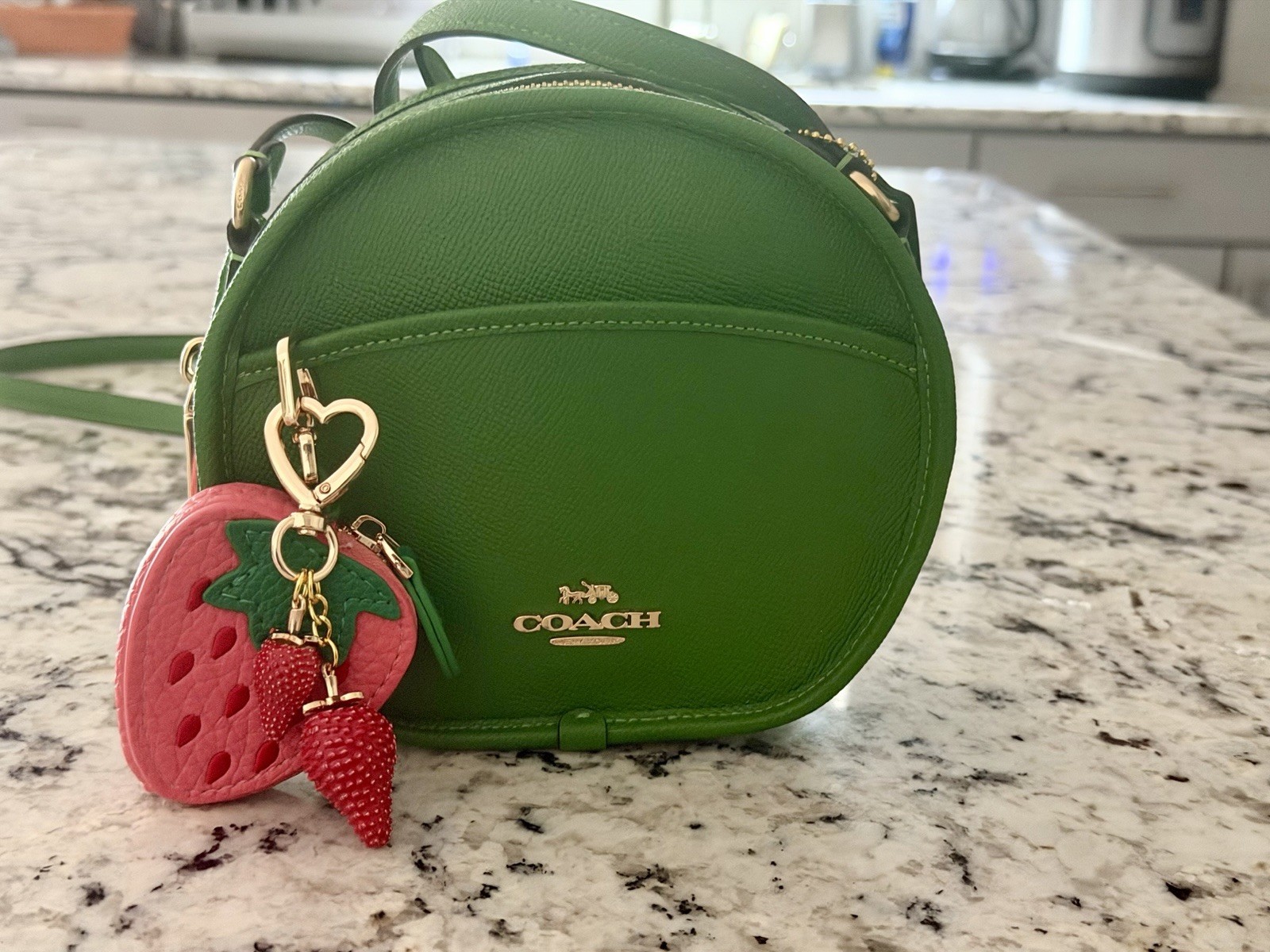 Coach Canteen Crossbody Bag Pebble Leather Gold/Kelly Green NWOT 75516