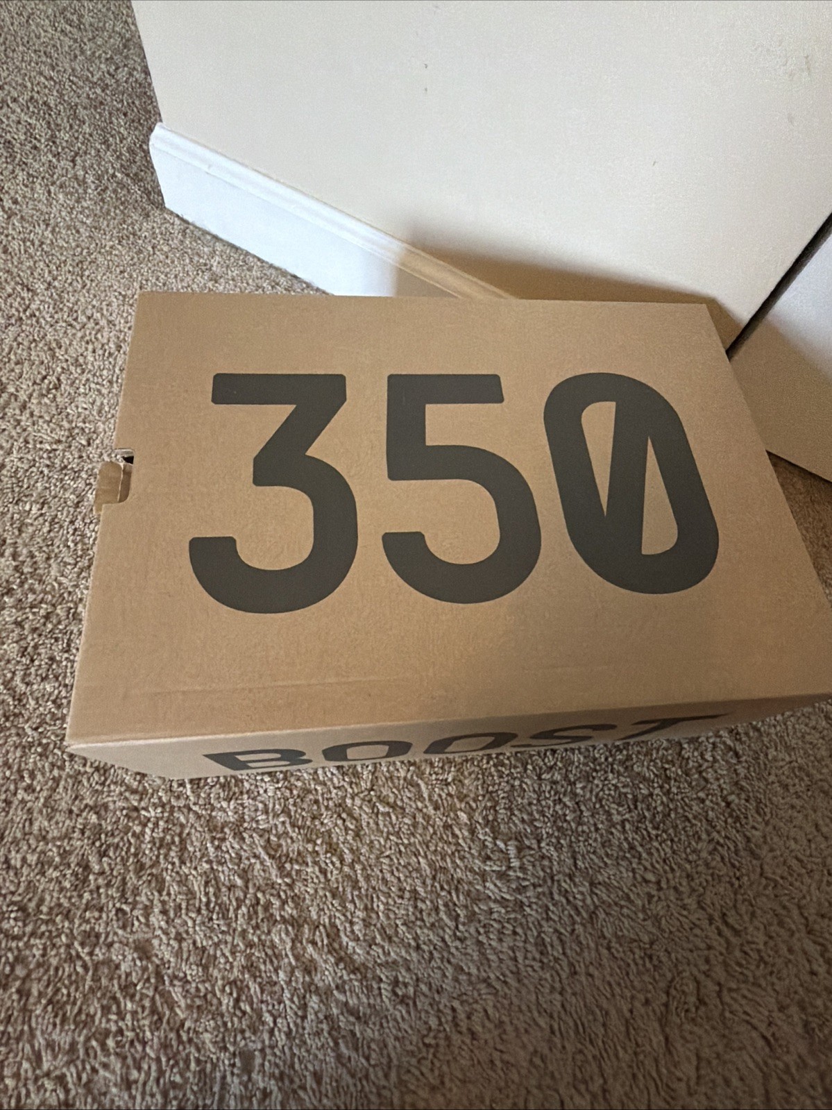 Size 10.5 – Adidas Yeezy Boost 350 V2 Steel Grey
