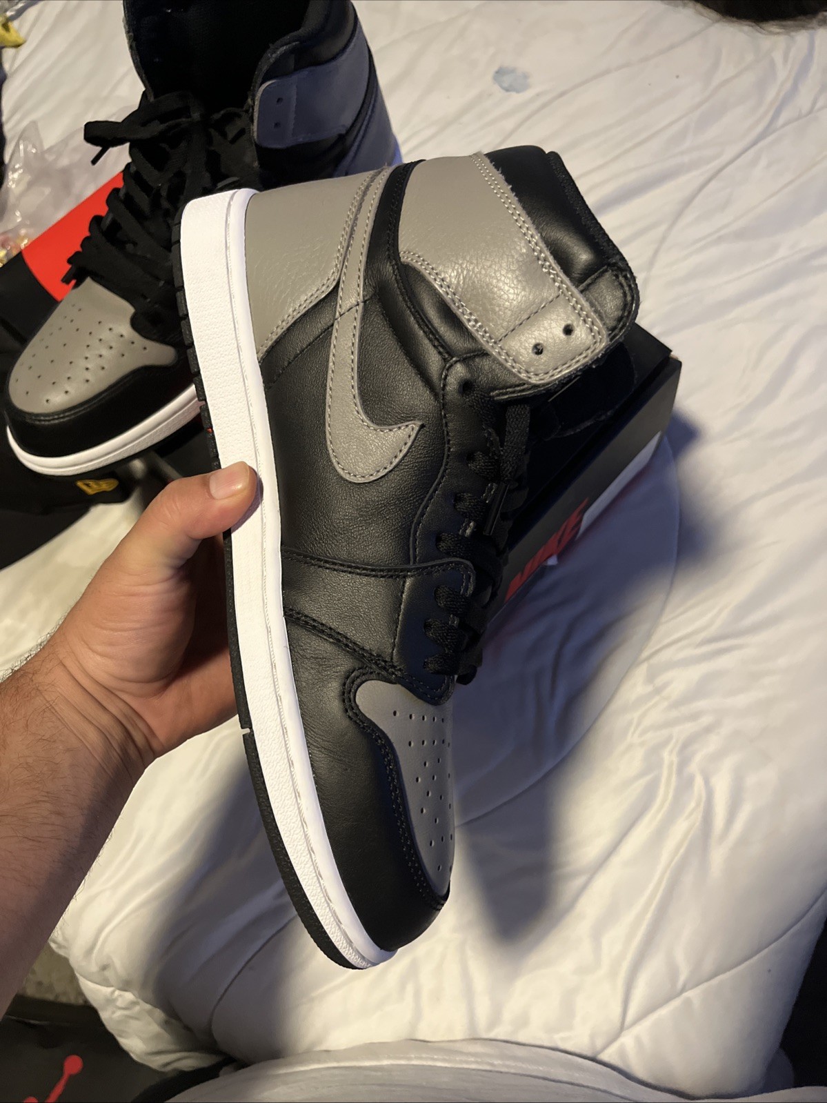 Air Jordan 1 Shadow 2018