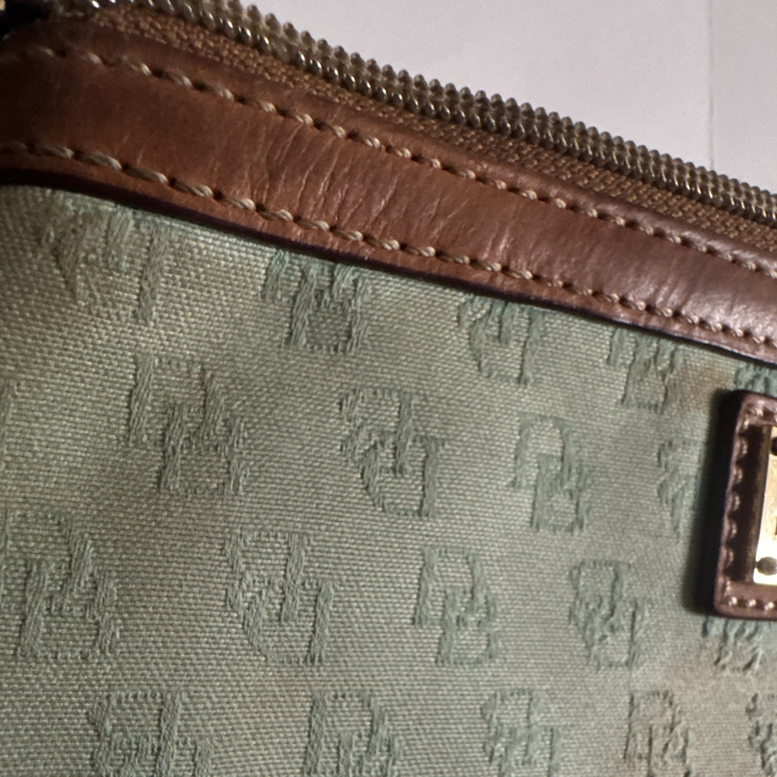 Dooney & Bourke Green Logo Small Wristlet Zip Pouch Brown Strap Red Lined