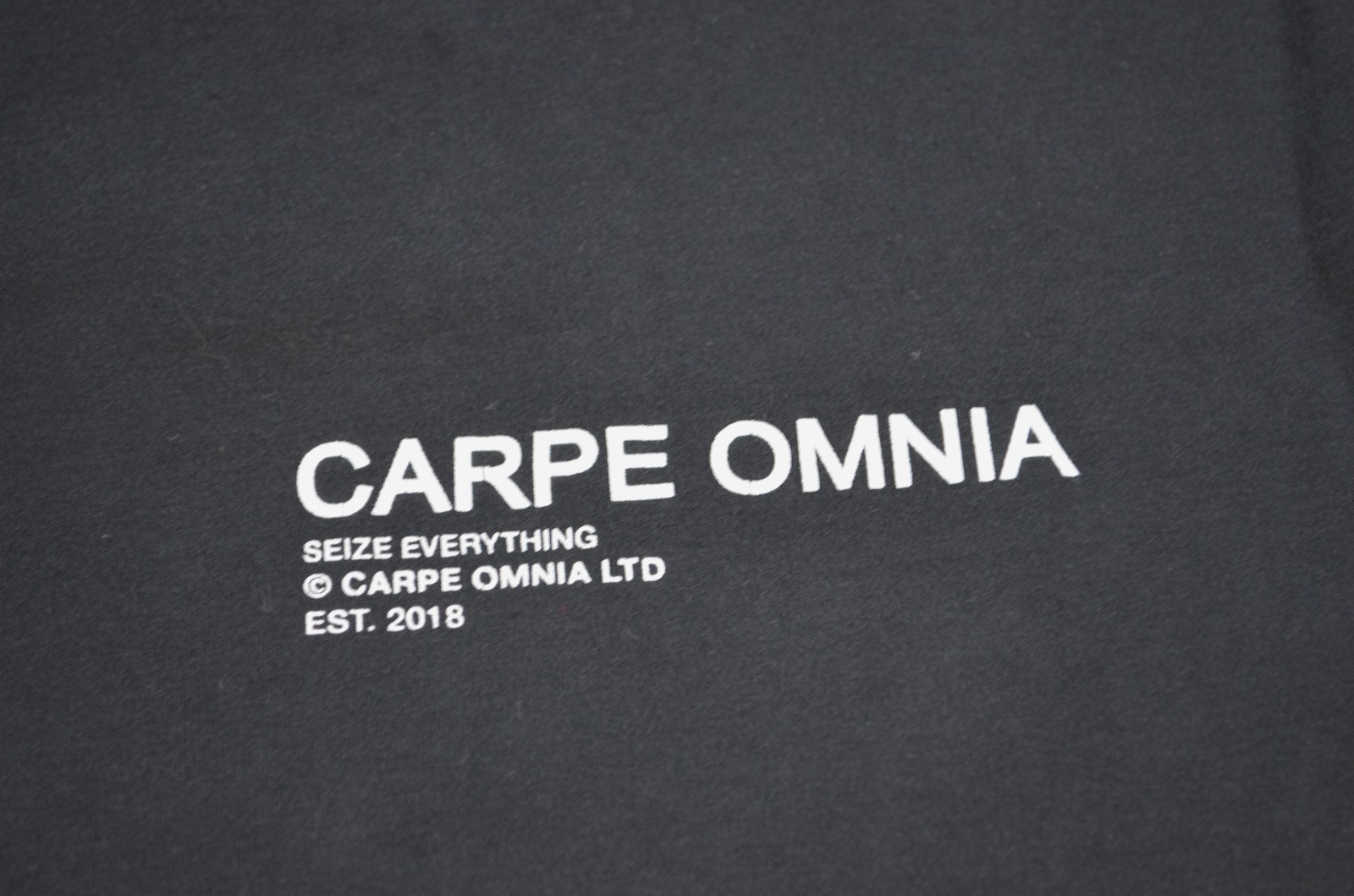 Carpe Omnia Men’s Short Sleeve Cotton T Shirt Seize Everything Medium 2018