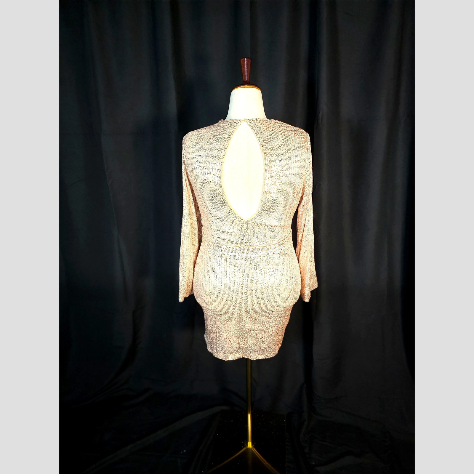Twinkle in the Spotlight: Glamorous Backless Dress