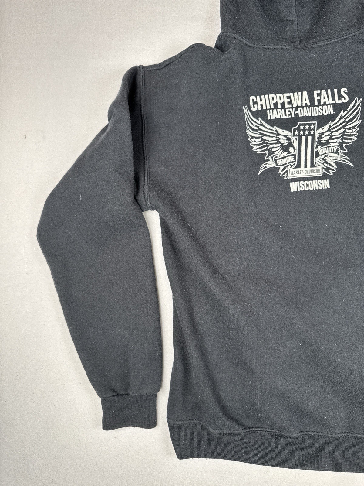 Harley Davidson Chippewa Falls Wisconsin Hoodie Eagle Biker Pullover M