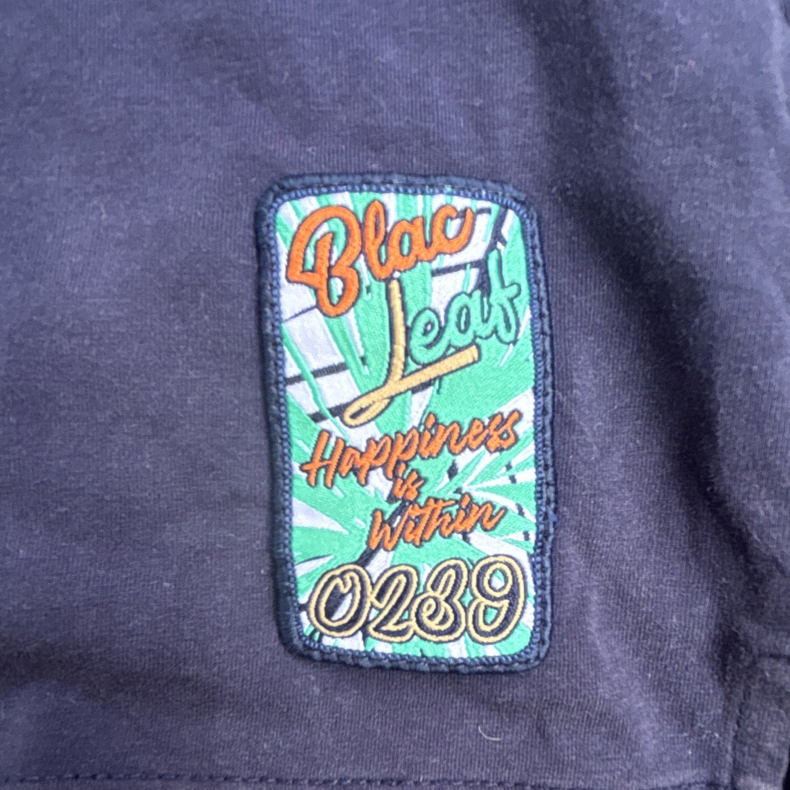 Blac Leaf Men’s 2XL Parrot Graphic Tee Tropical Streetwear Navy Teal Colorblock