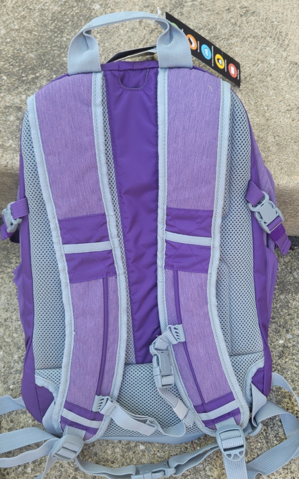 Backpack 19″ Padded Large Sports Outdoor School Bondka Bookbag Purple Chill NEW