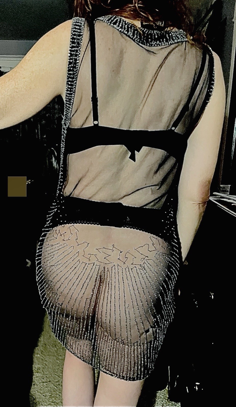 Beautiful Flapper Style Dress 20s Sheer With Embroidery